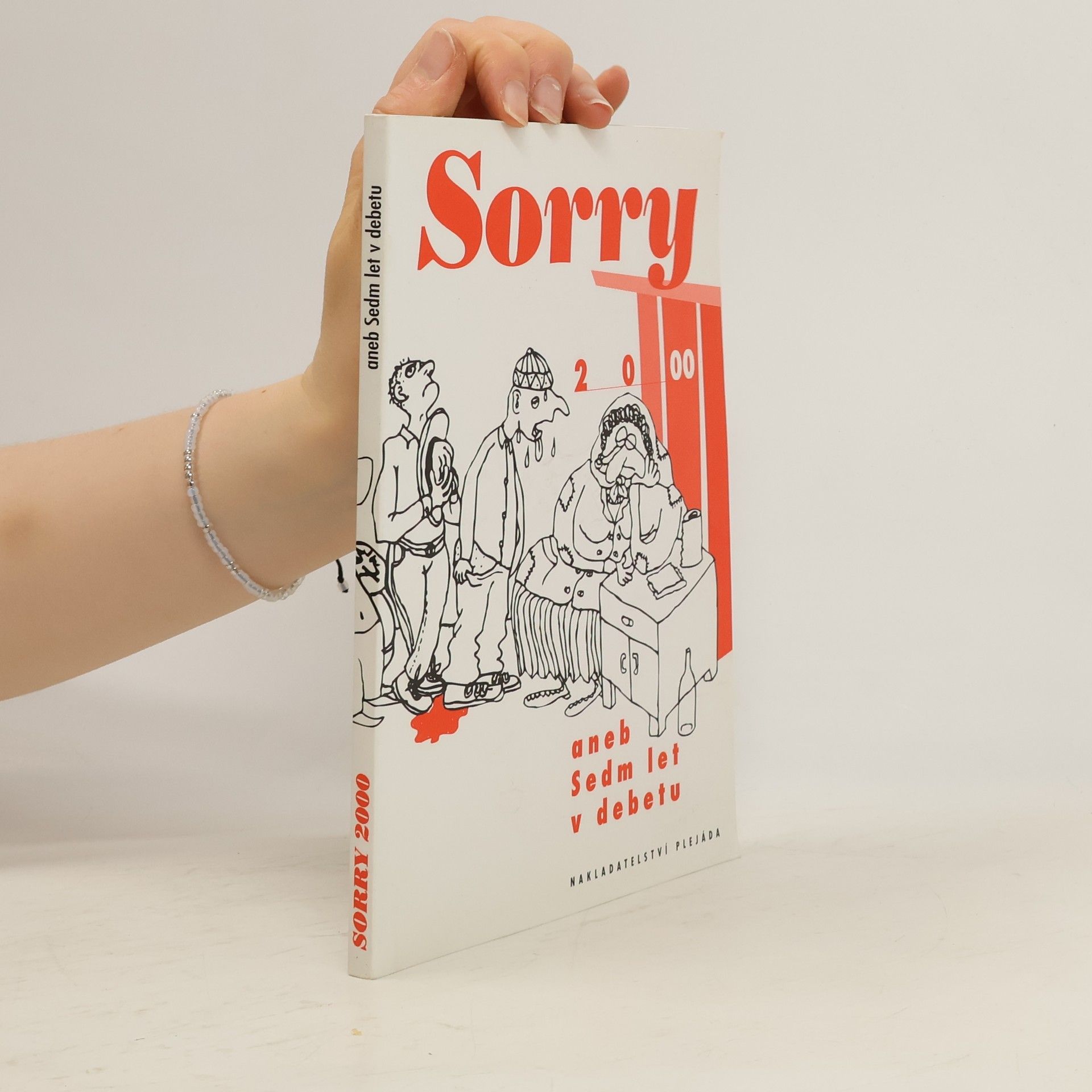 Sorry 2000 aneb Sedm let v debetu