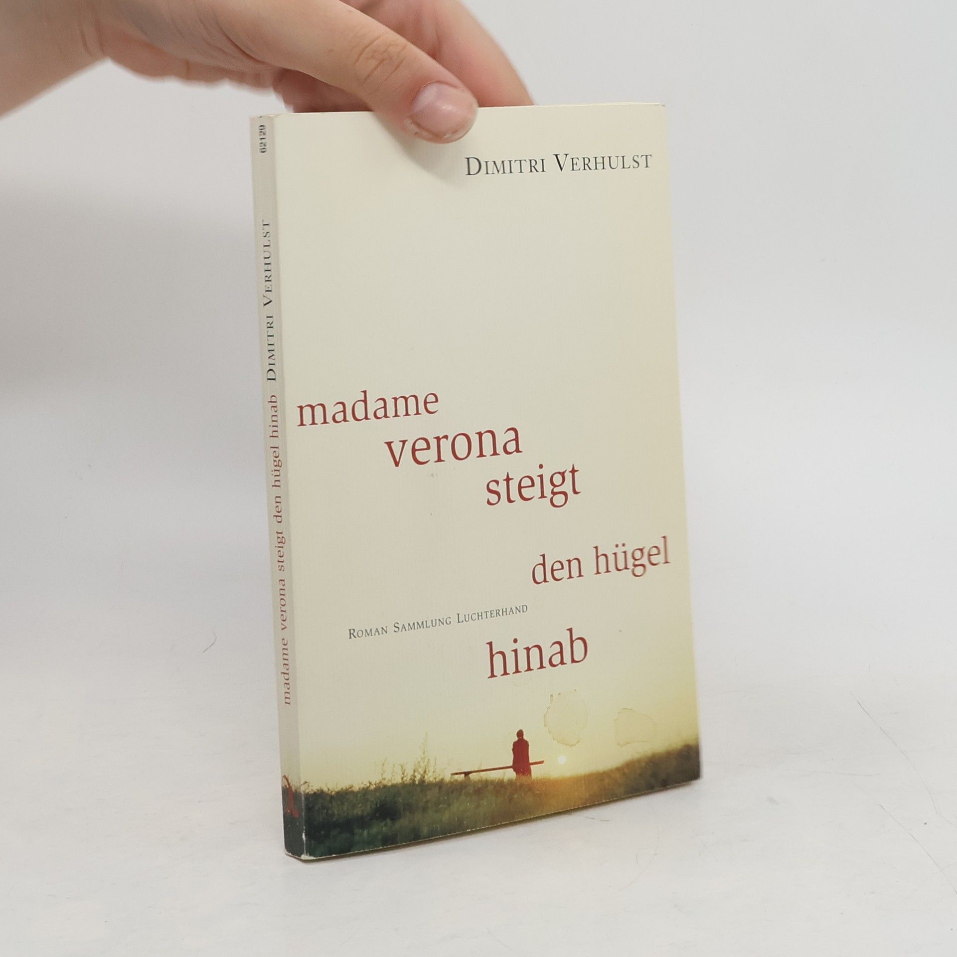 Dimitri Verhulst Madame Verona steigt den Hügel hinab