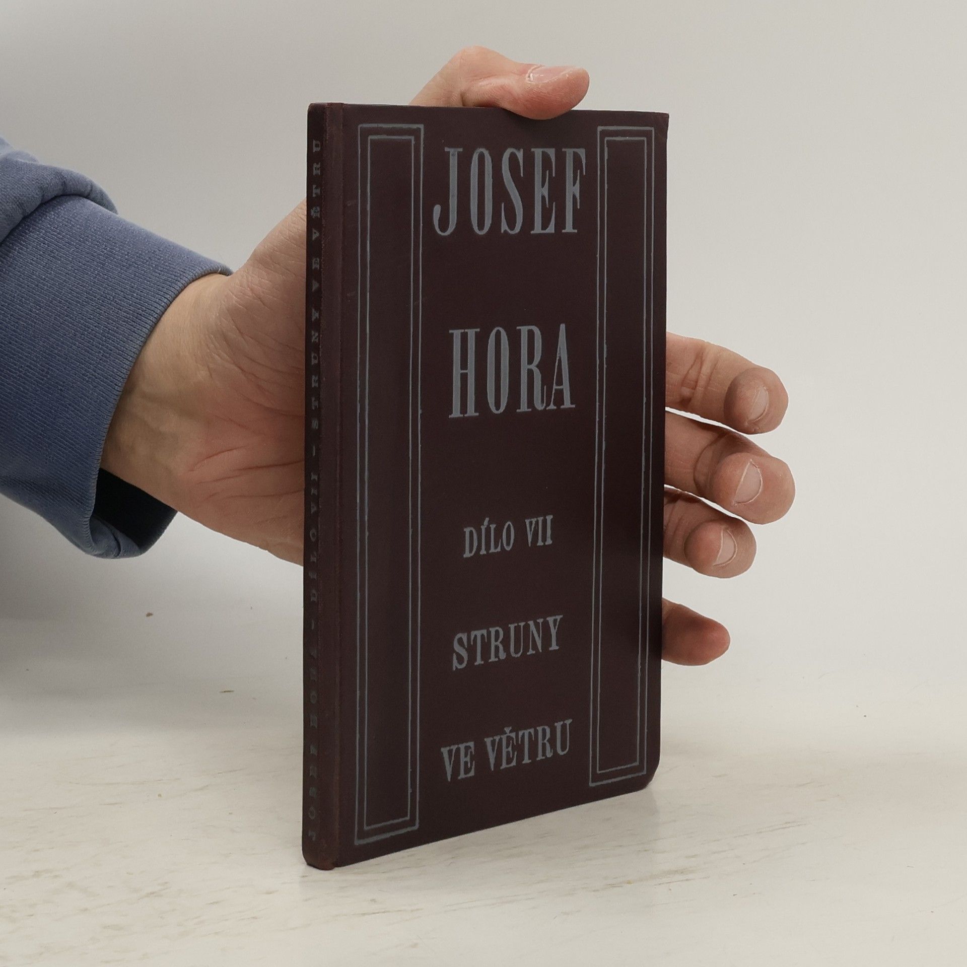Josef Hora Struny ve větru