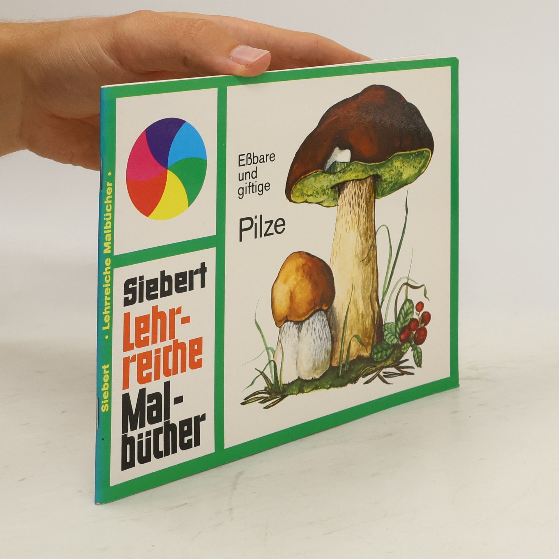Autorenkollektiv Pilze