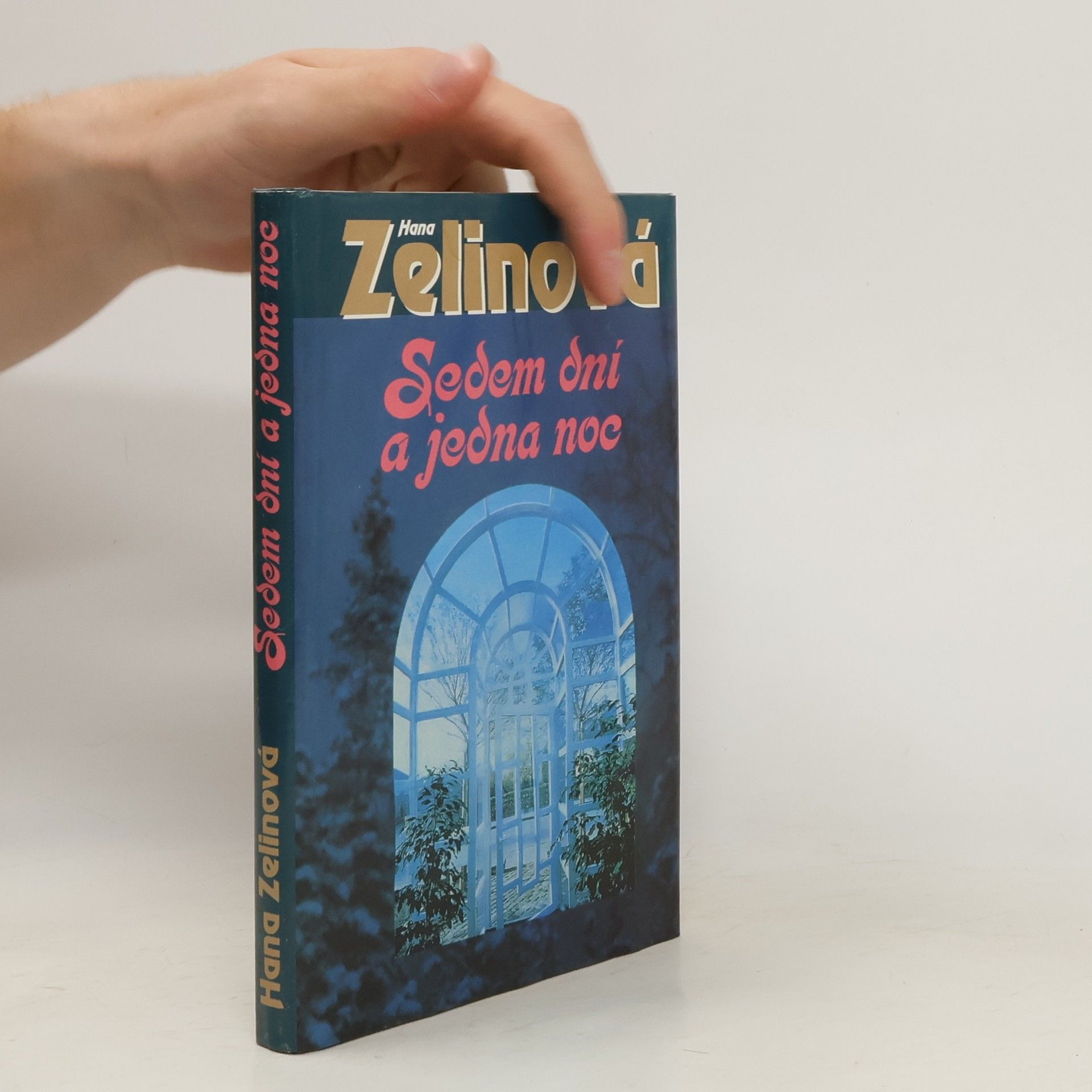 Hana Zelinová Sedem dní a jedna noc