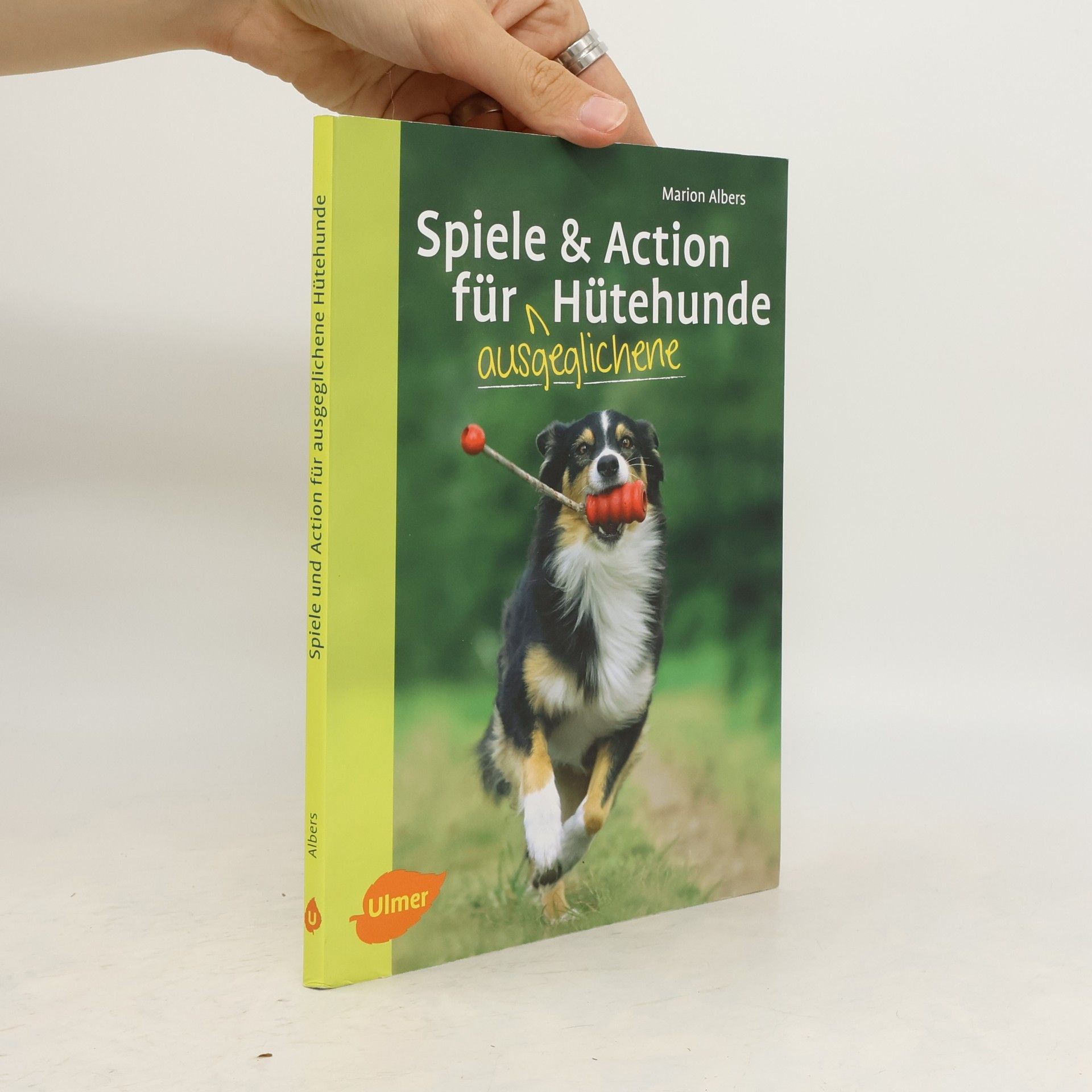 Albers Marion Spiele und Action für ausgeglichene Hütehunde