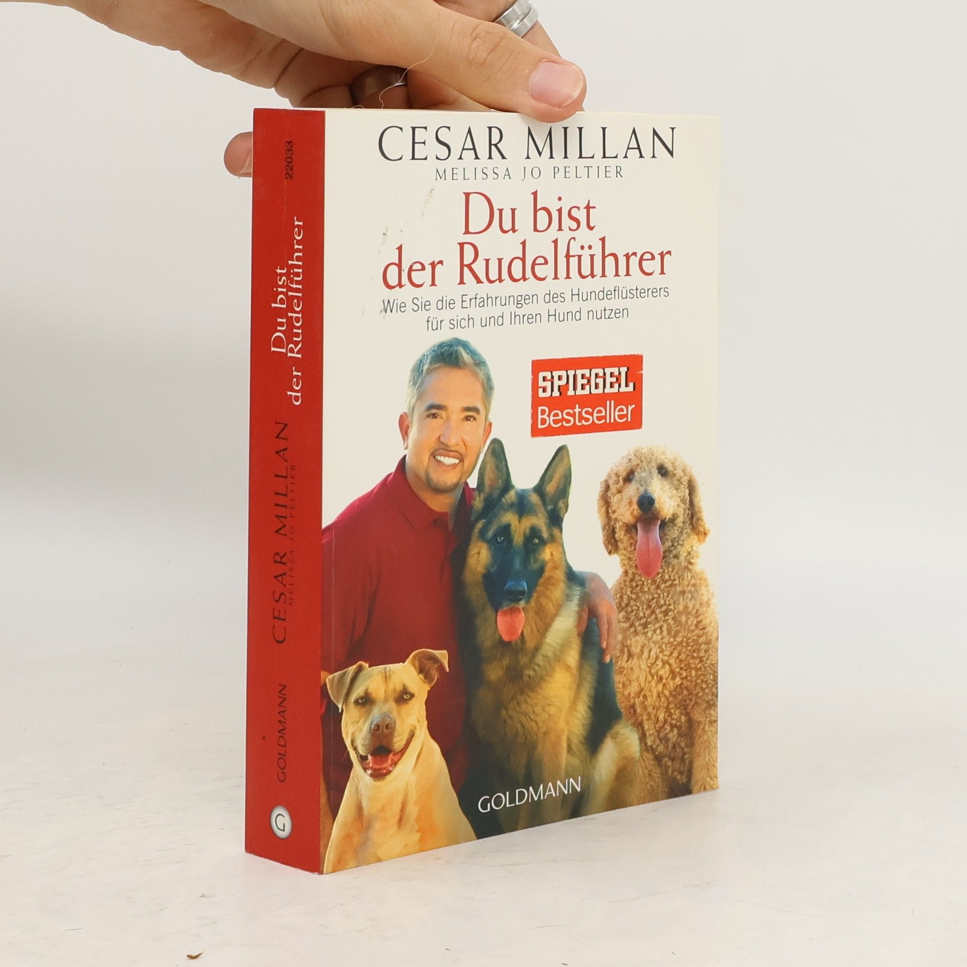 Cesar Millan Du bist der Rudelführer