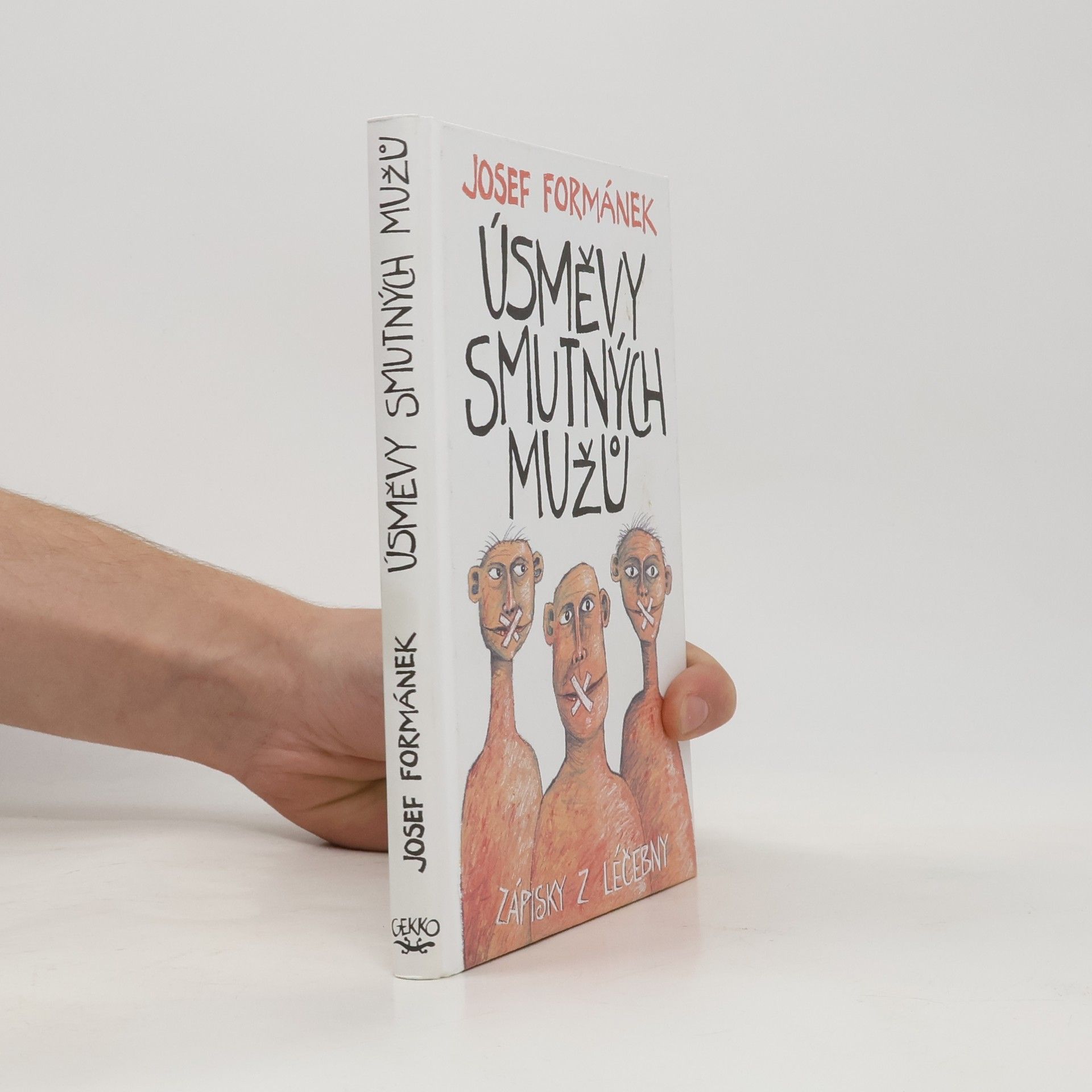 Úsměvy smutných mužů. Zápisky z léčebny