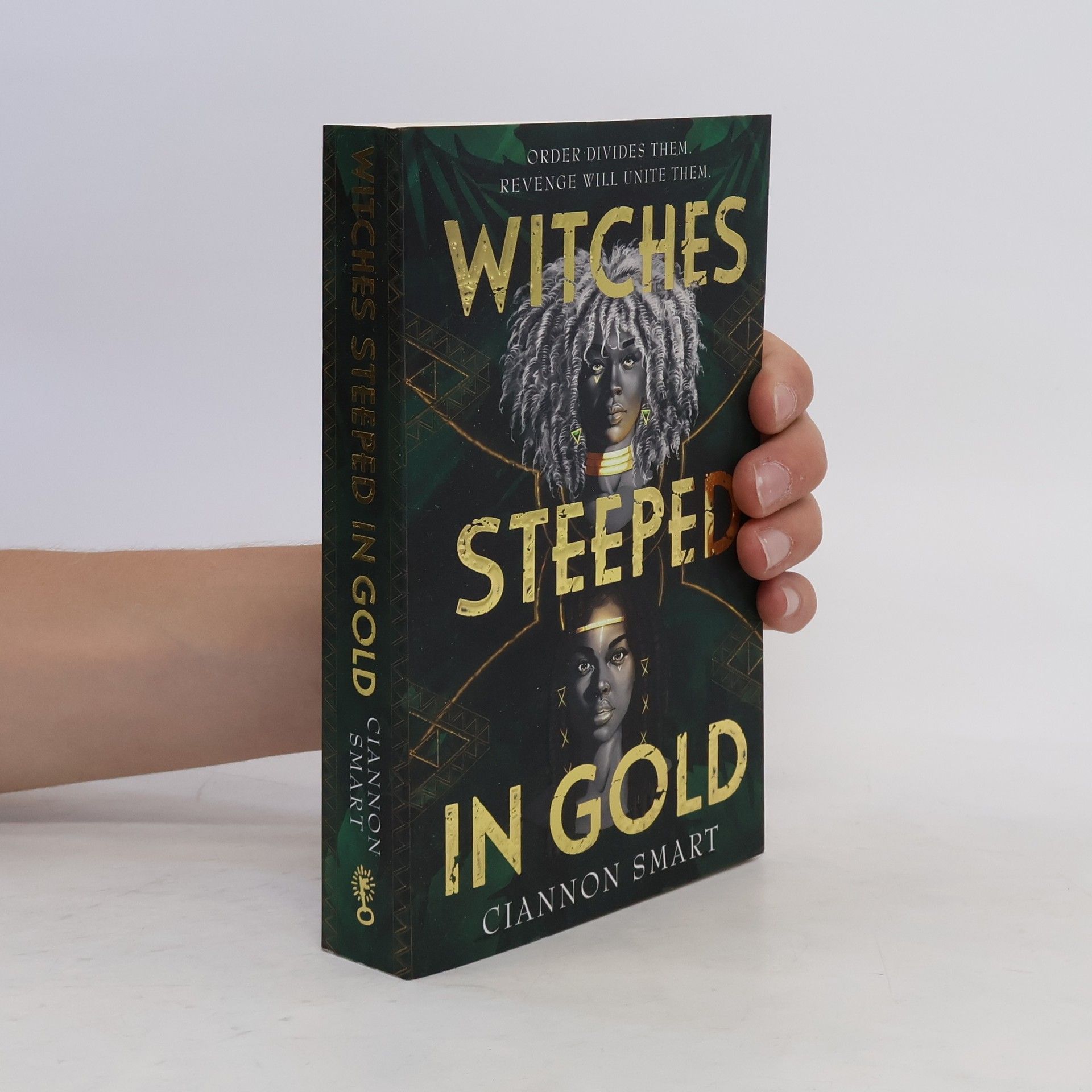 Ciannon Smart Witches Steeped in Gold