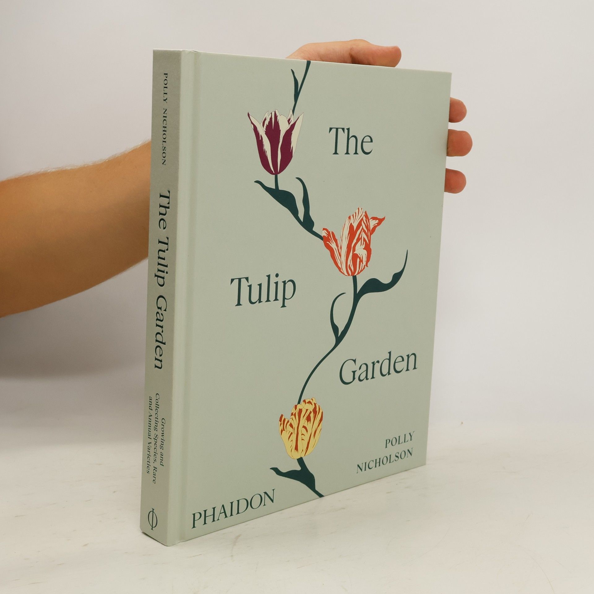 Polly Nicholson The Tulip Garden