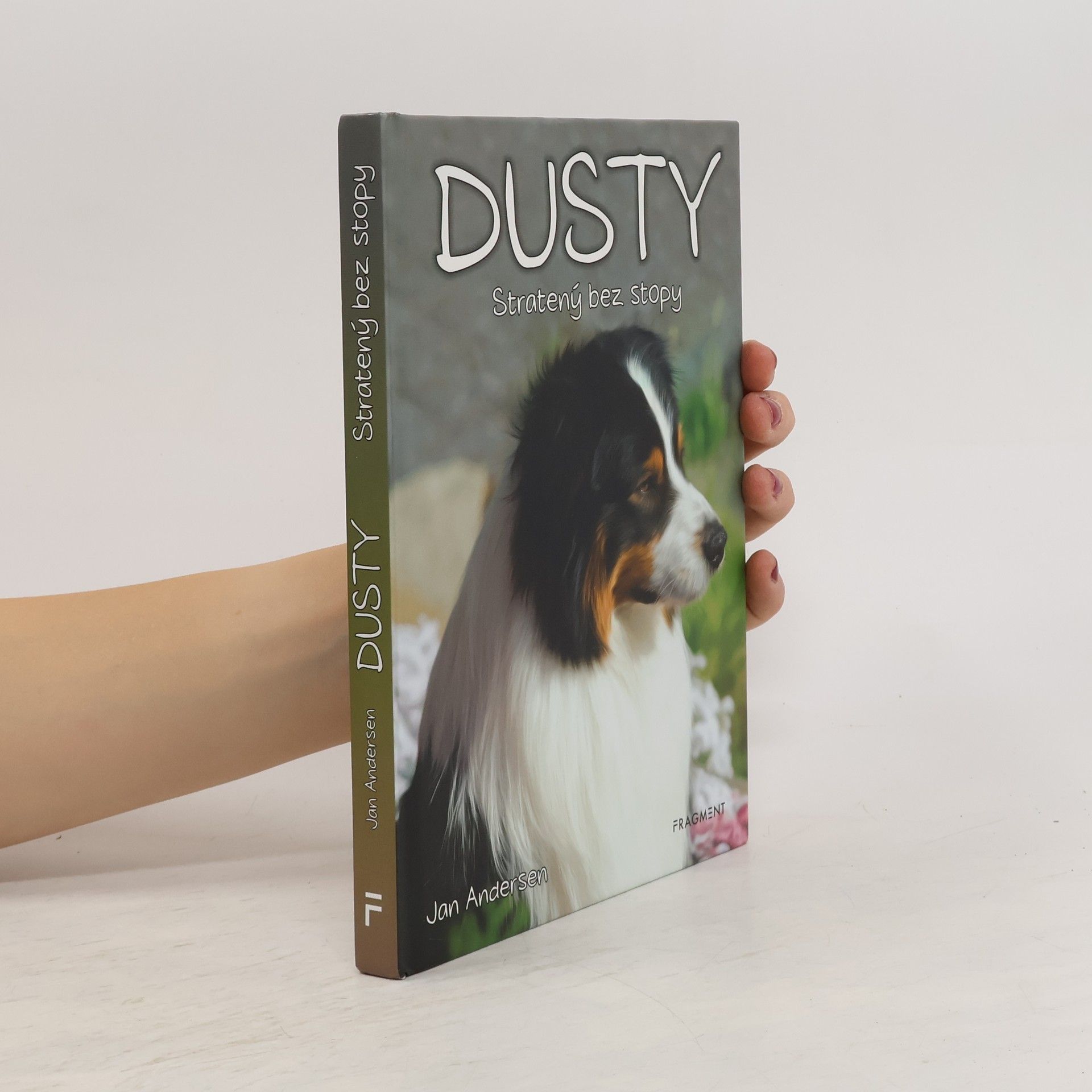 Wolfram Hänel Dusty 7: Stratený bez stopy