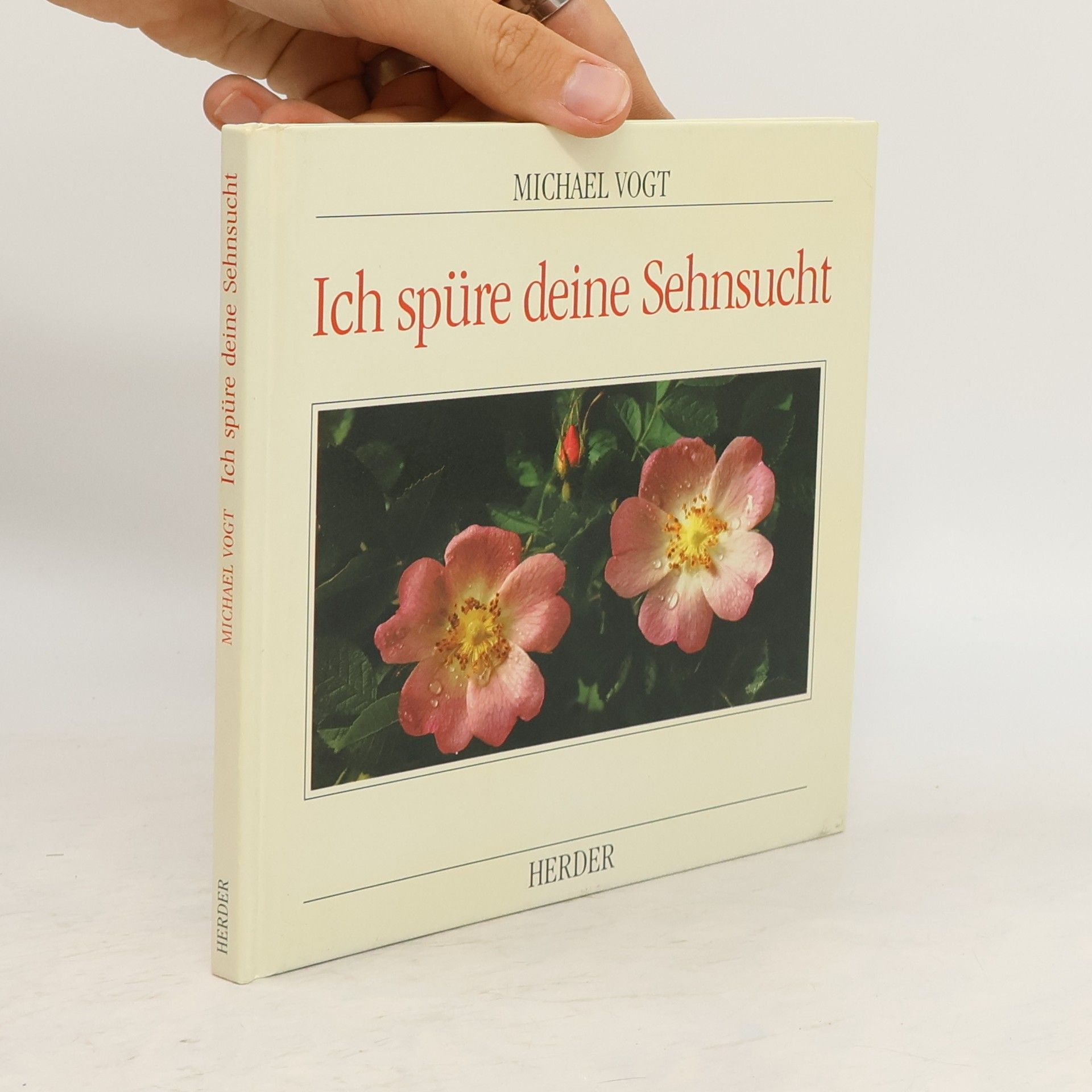 Michael Vogt Ich spüre deine Sehnsucht