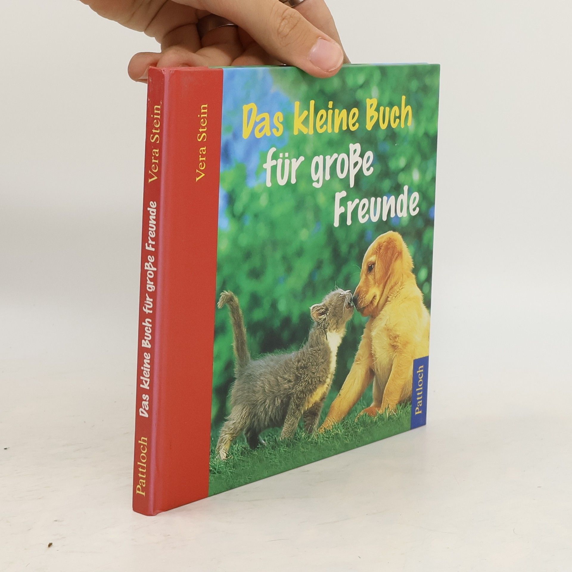 Vera Stein Das kleine Buch für große Freunde
