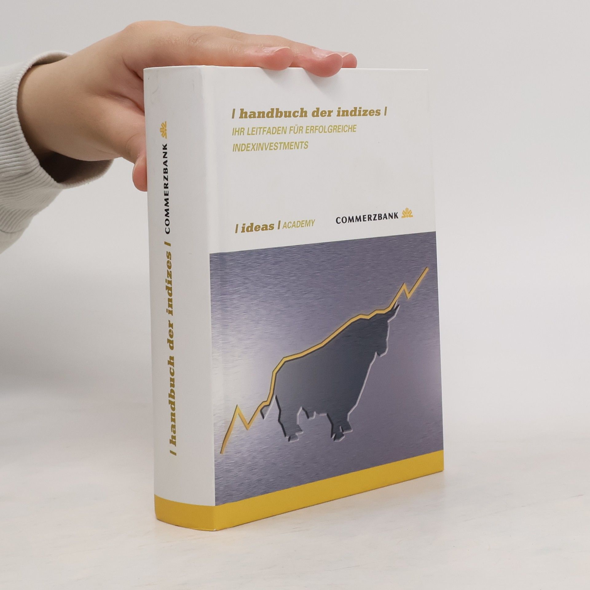 kolektiv Handbuch der Indizes