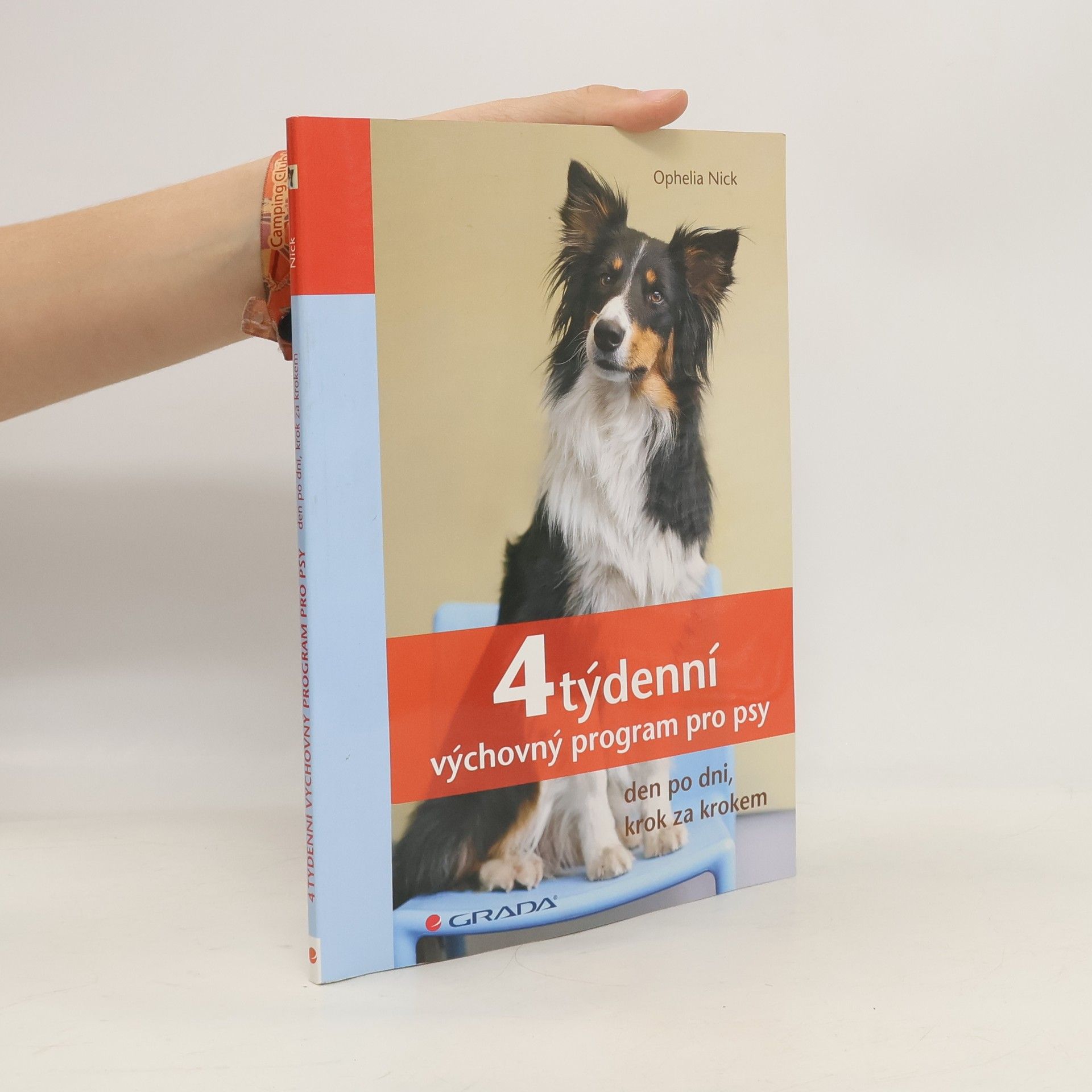 4týdenní výchovný program pro psy