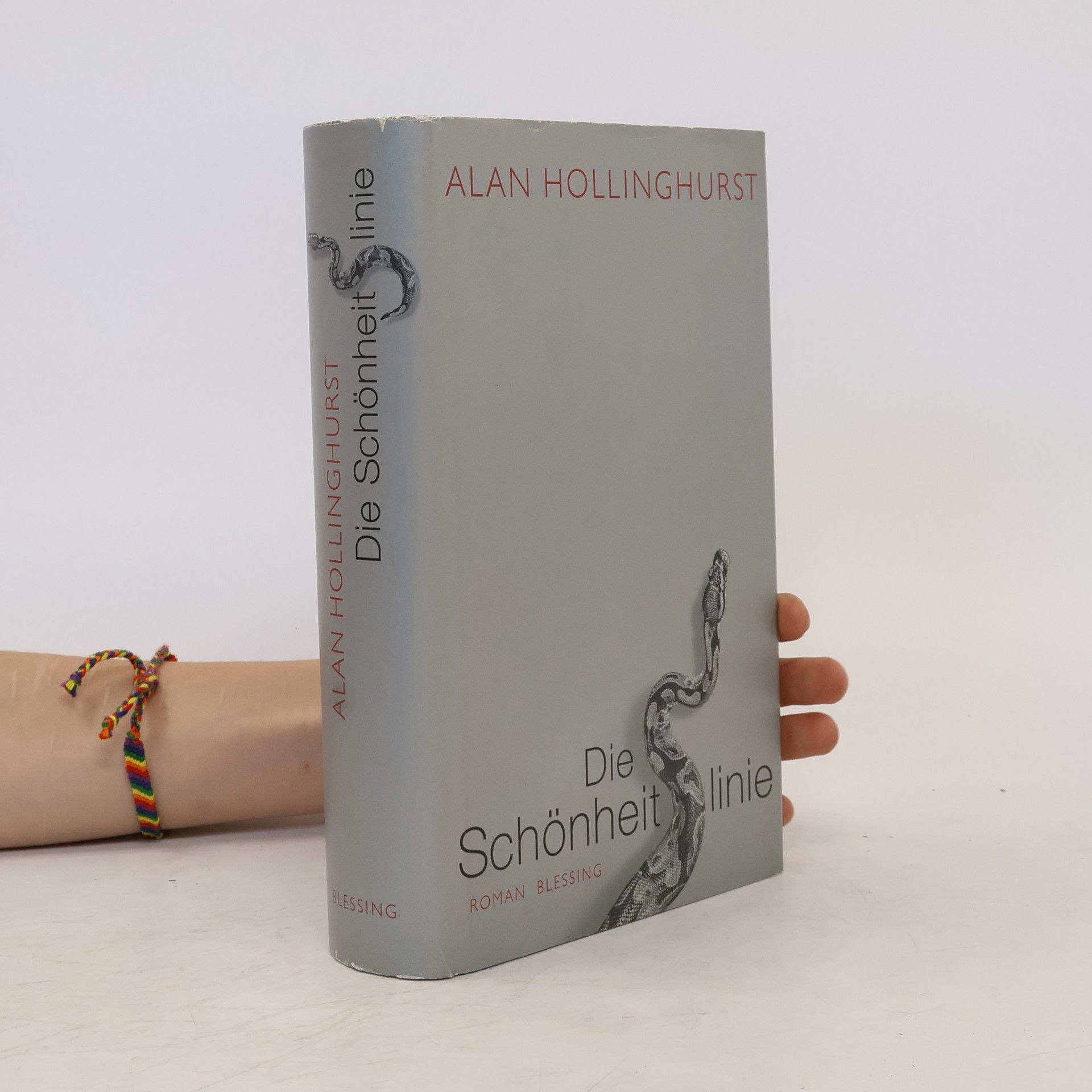 Alan Hollinghurst Die Schönheitslinie