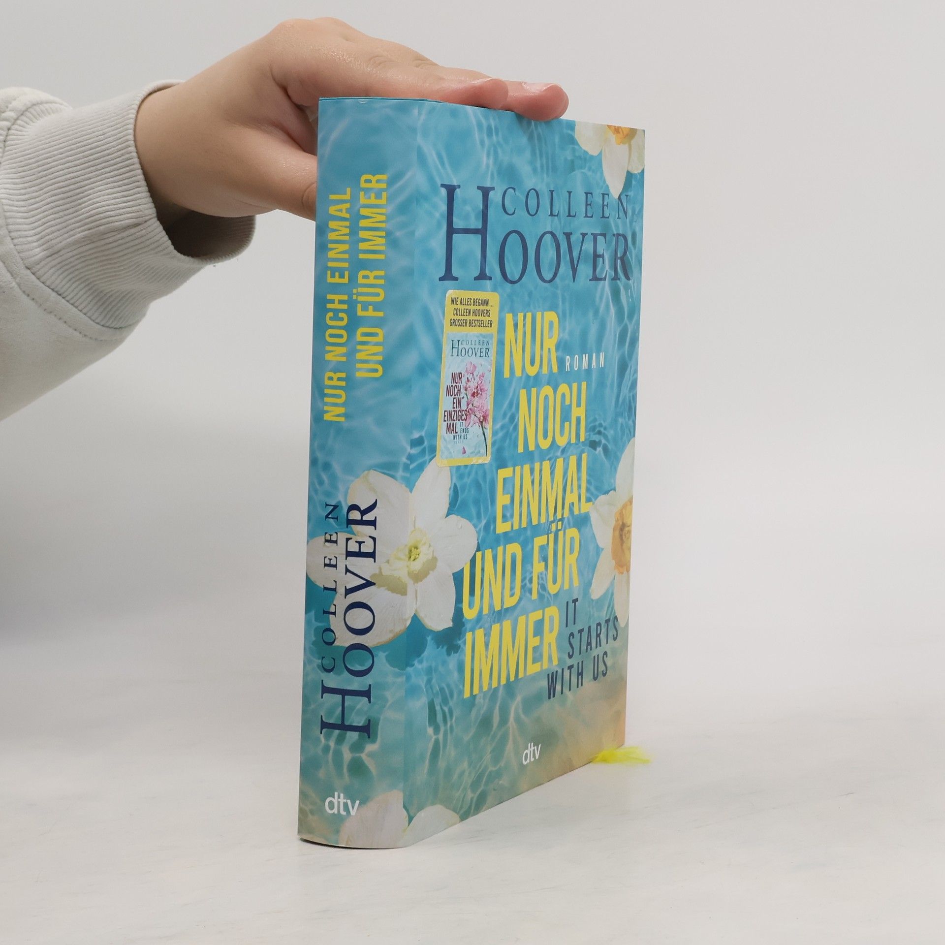 Colleen Hoover Nur noch einmal und für immer