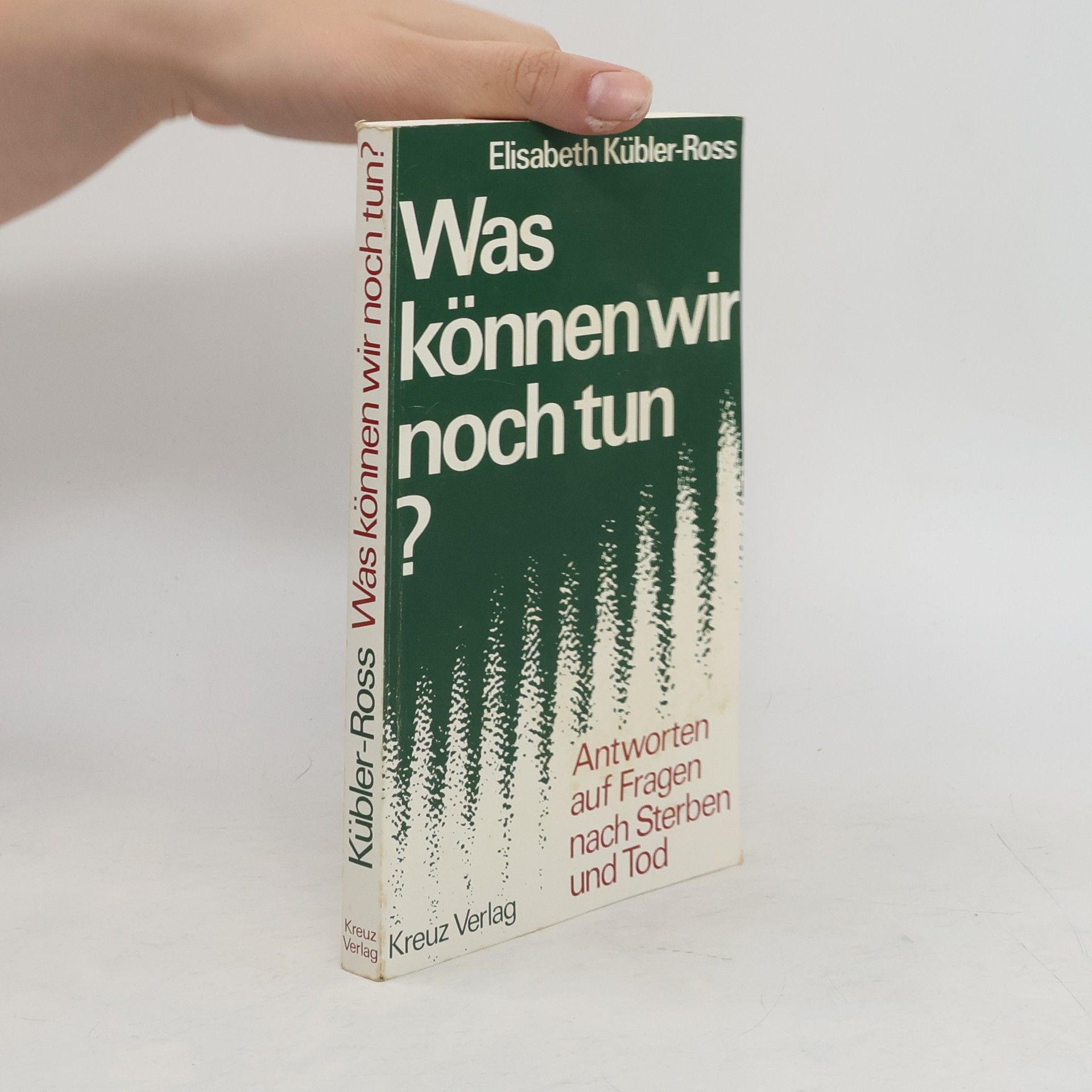 Elisabeth KüblerRoss Was können wir noch tun?