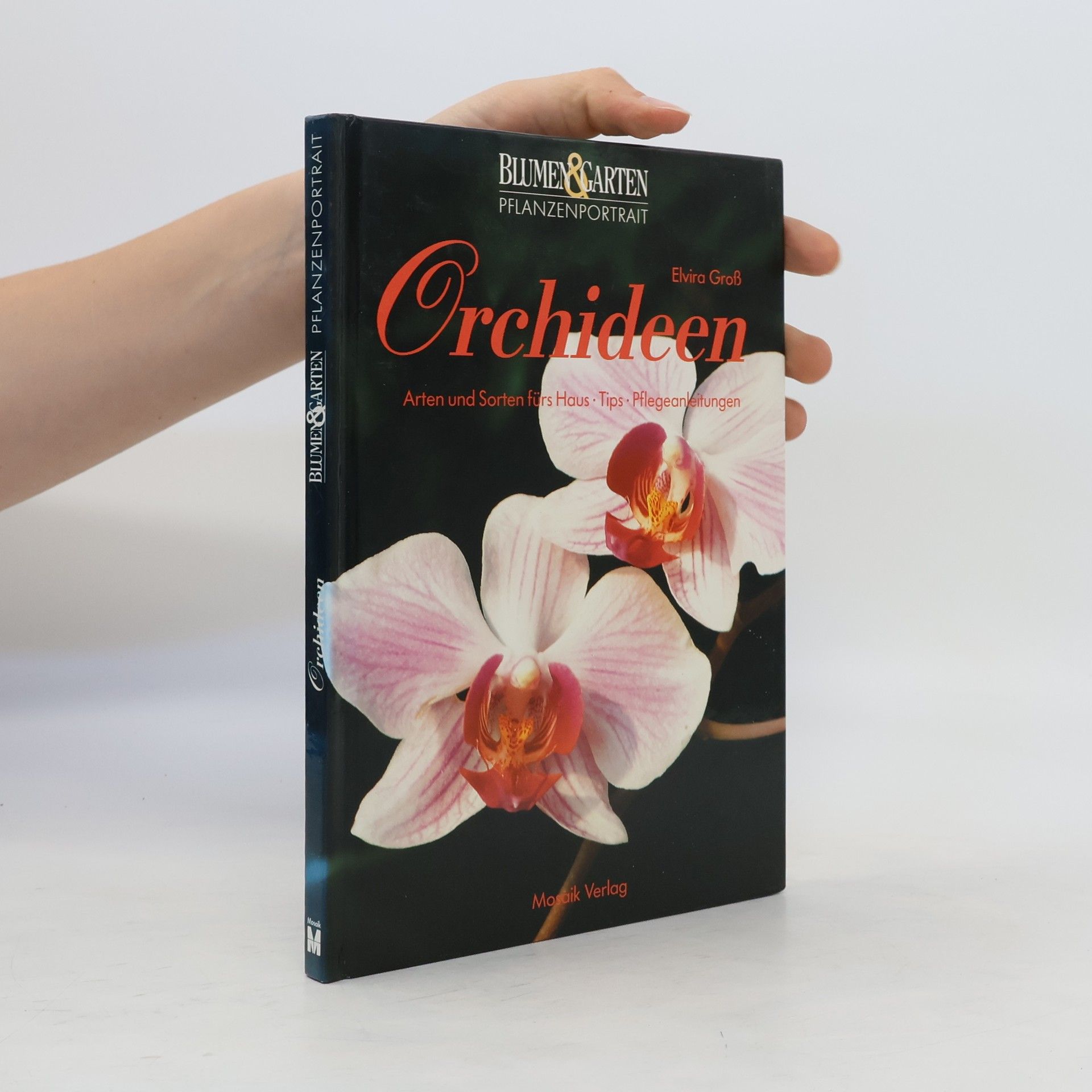Elvira Gross Orchideen