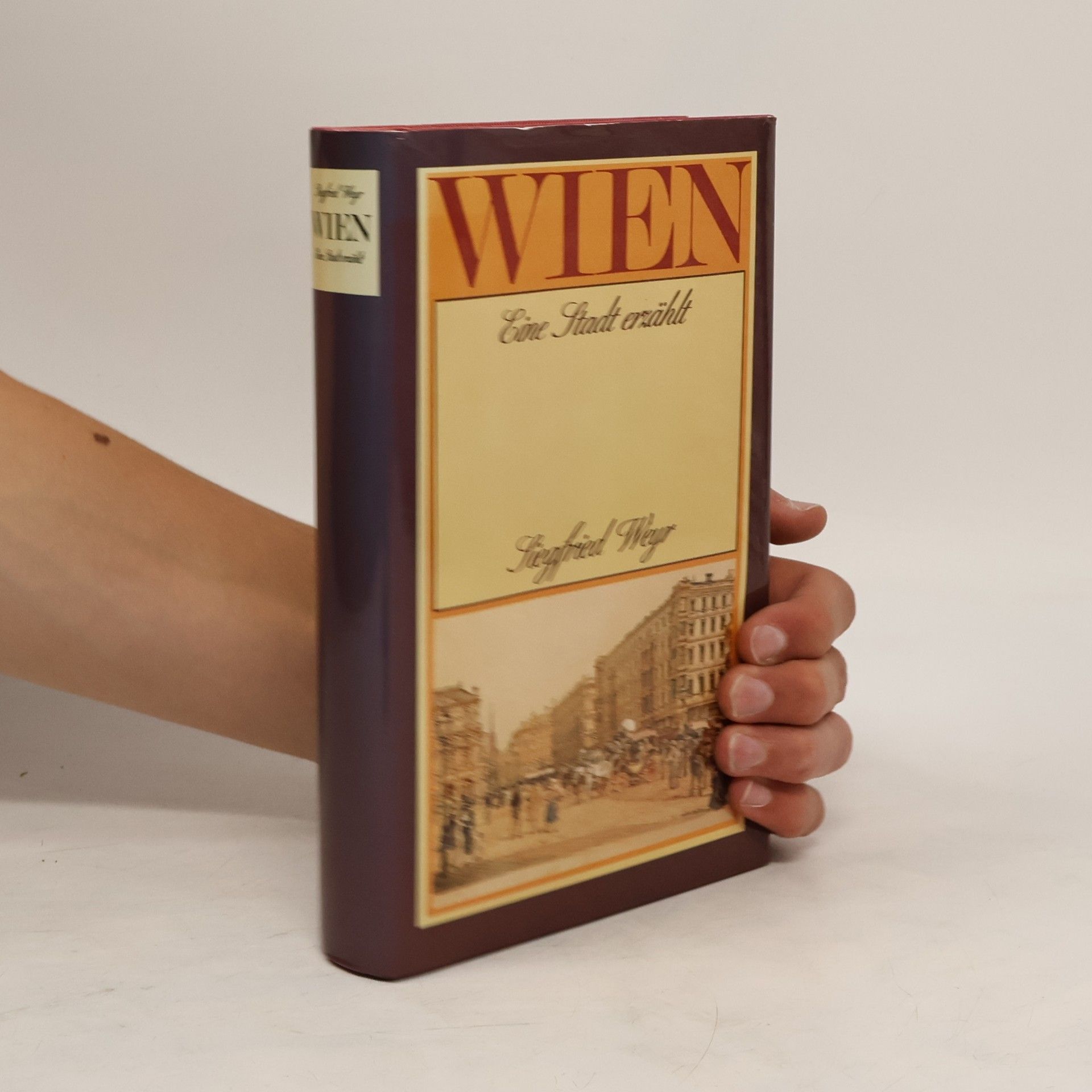 Siegfied Weyr Wien Eine Stant erzählt