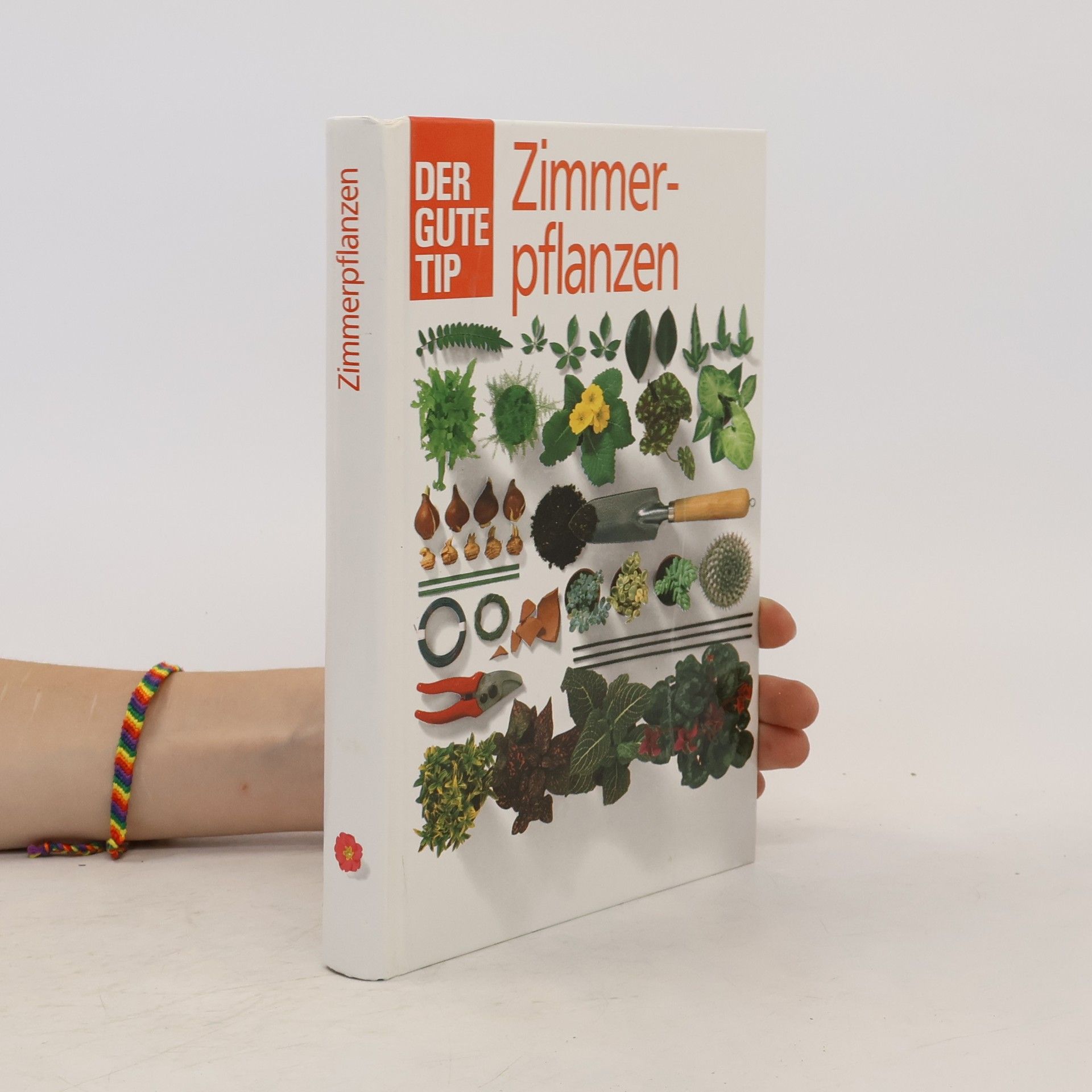 Collectif d'auteurs Zimmerpflanzen