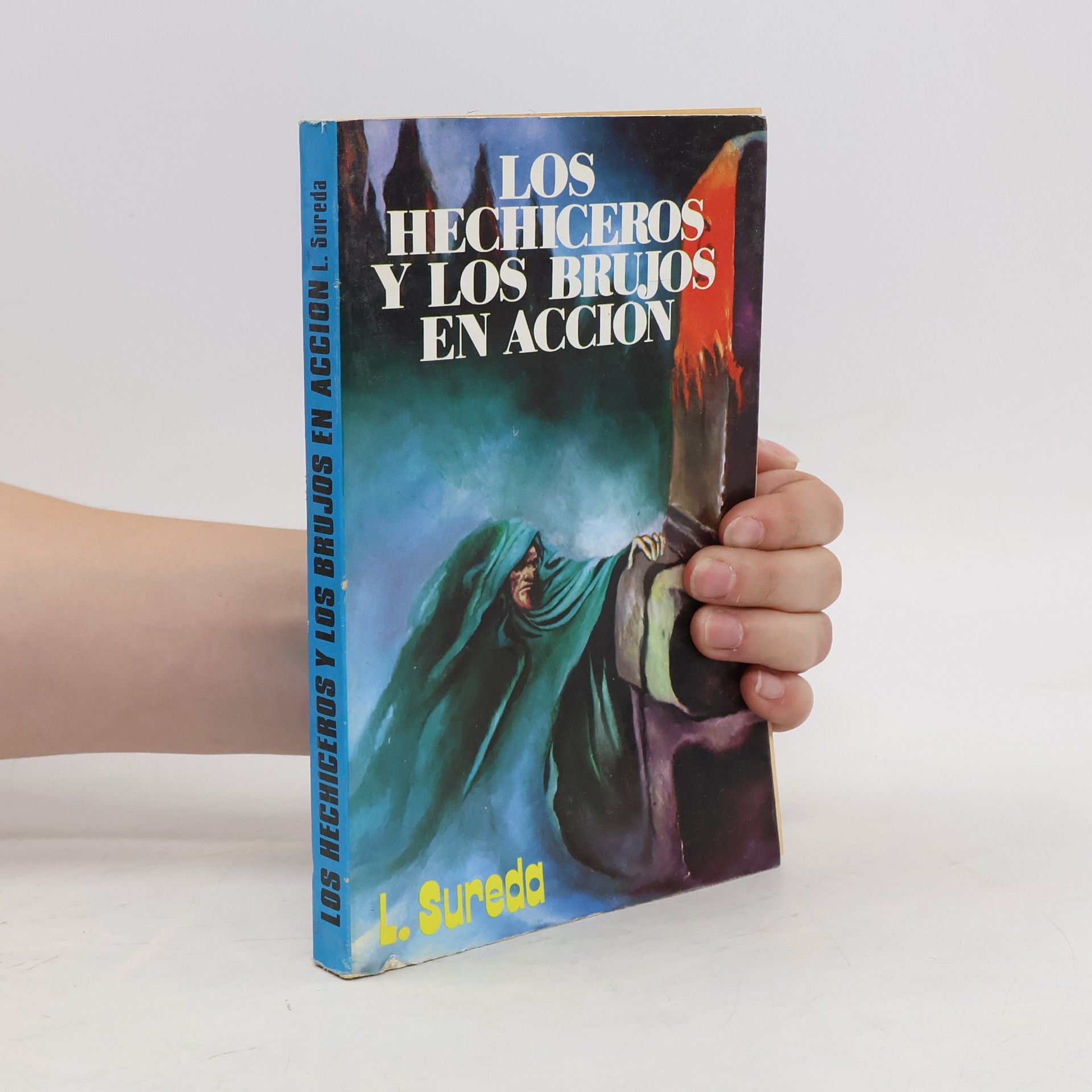 Julio Fernández Martínez Los Hechiceros y los brujos en acción