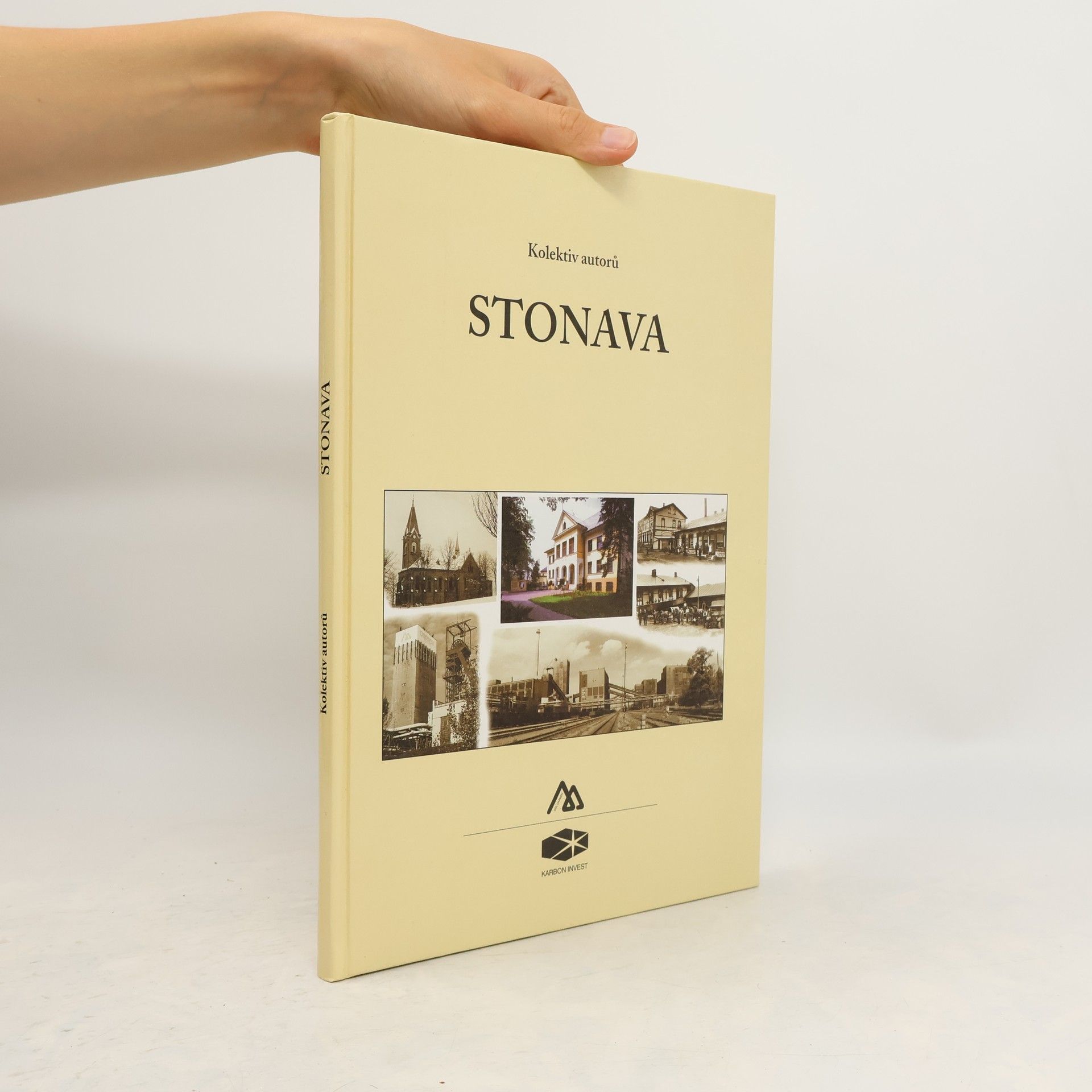 Collectif d'auteurs Stonava