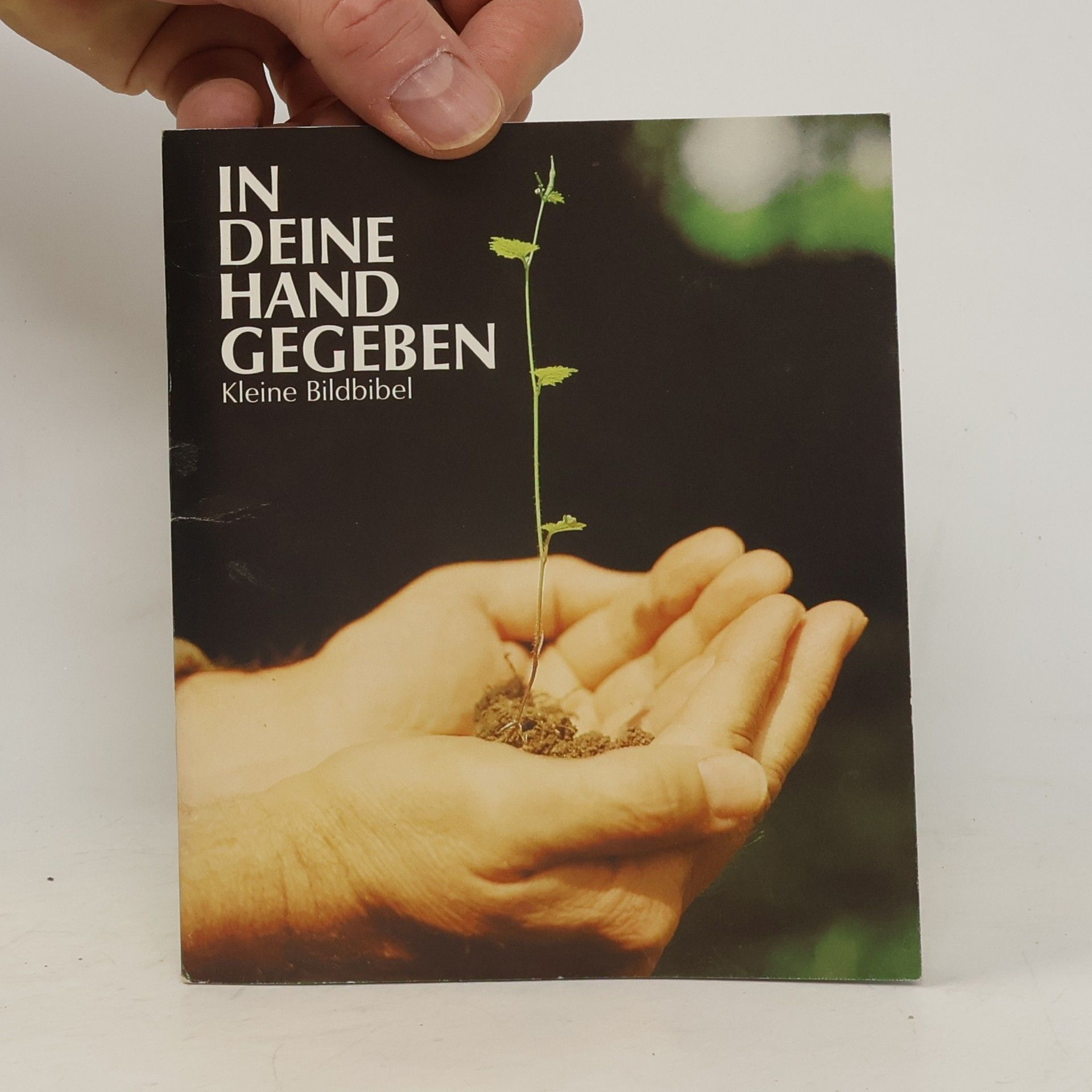 Friedrich Delius In deine Hand gegeben