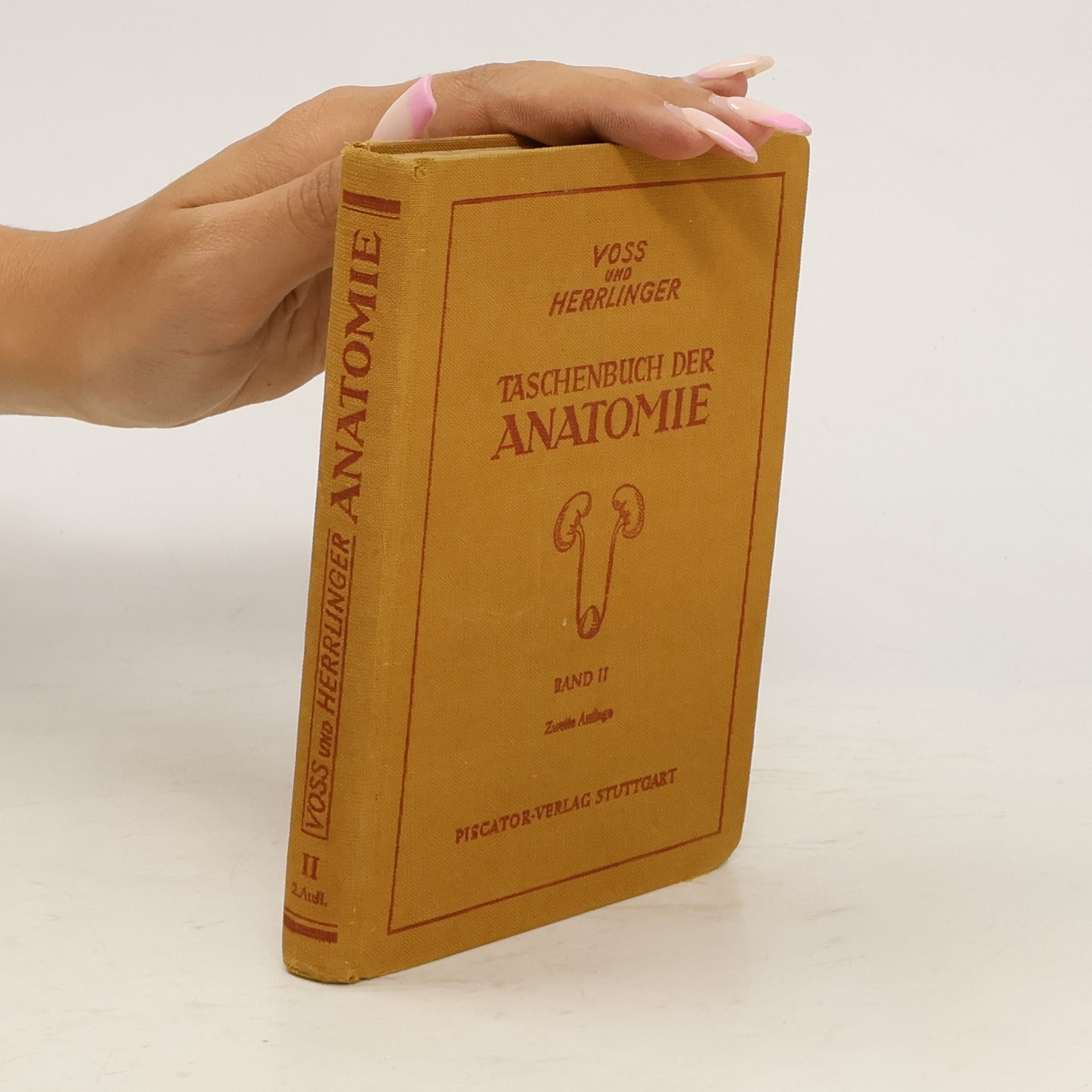Hermann Voss Taschenbuch der Anatomie