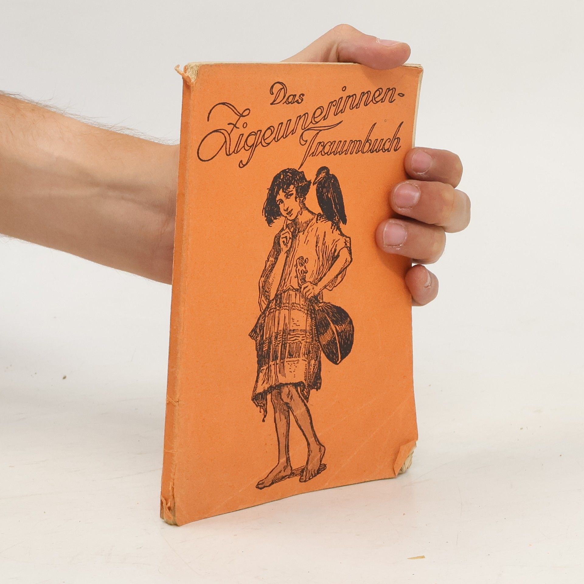 Collectif d'auteurs Das Zigeunerinnen-Traumbuch