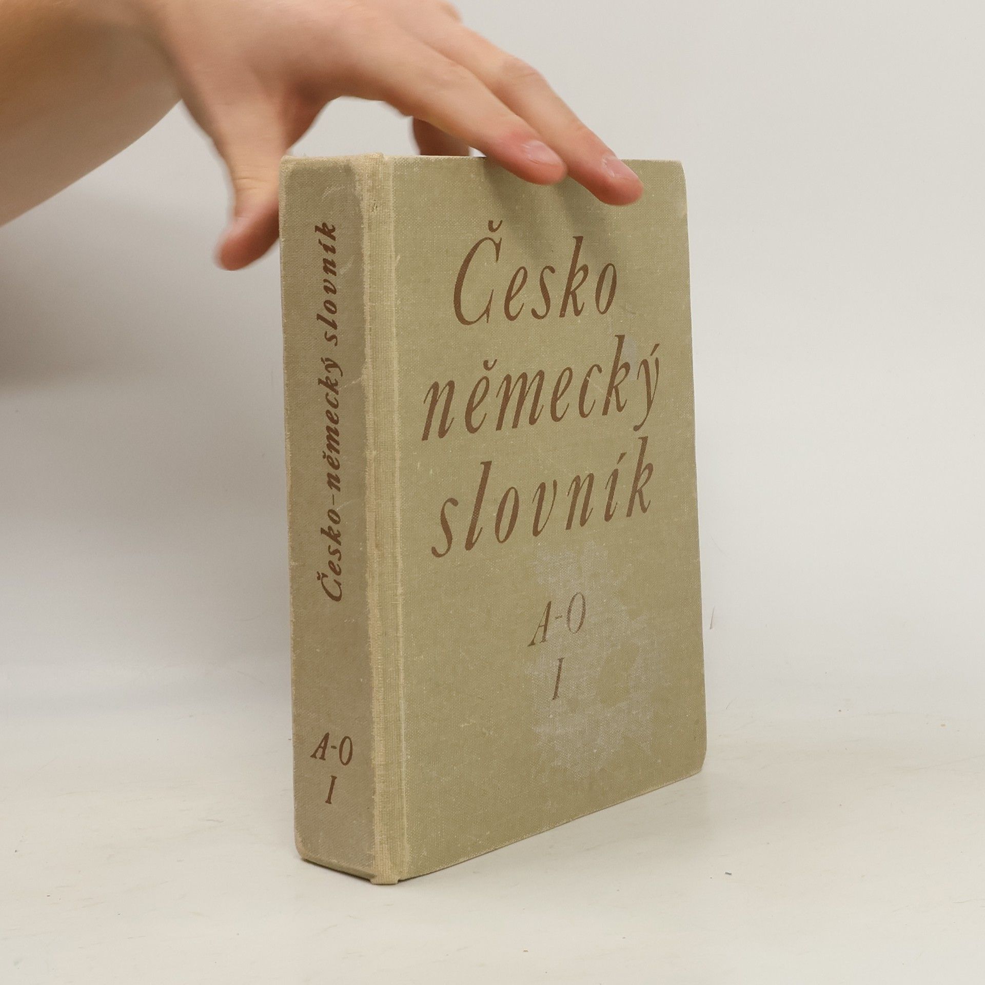 Autorenkollektiv Česko-německý slovník 1. díl A-O