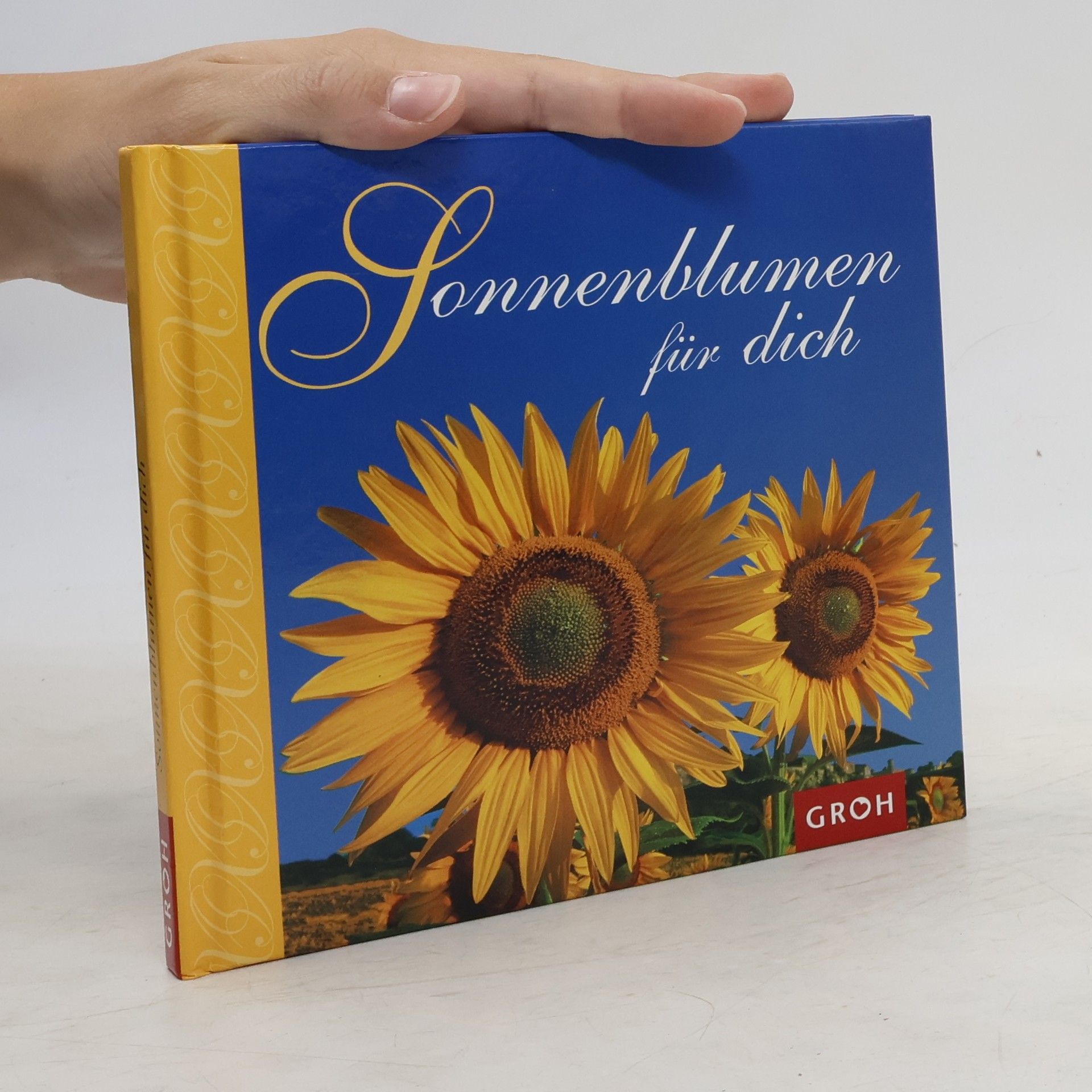 Dorothée Bleker Sonnenblumen für dich