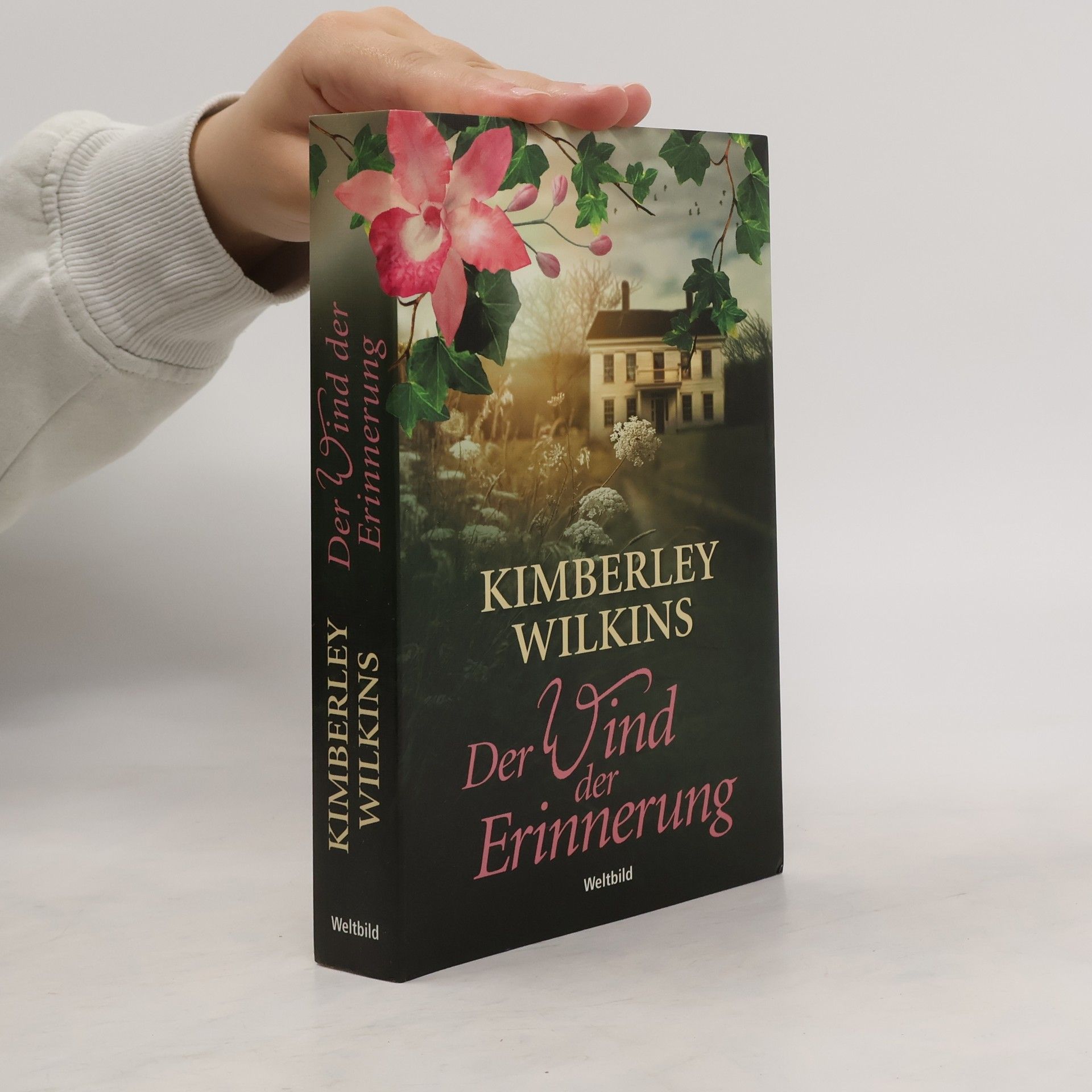 Kimberley Wilkins Der Wind der Erinnerung