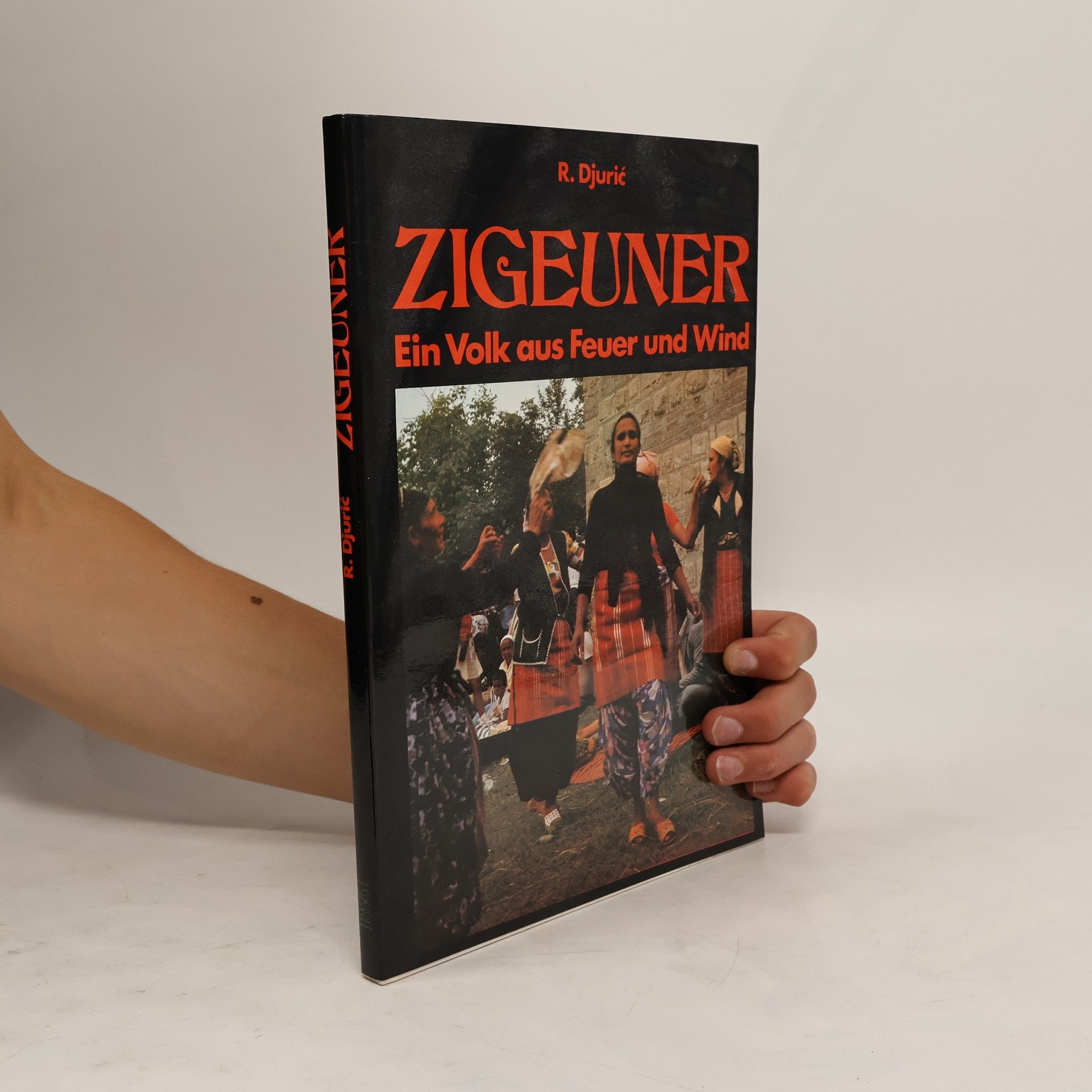 R. Djurić Zigeuner. Ein Volk aus Feuer und Wind