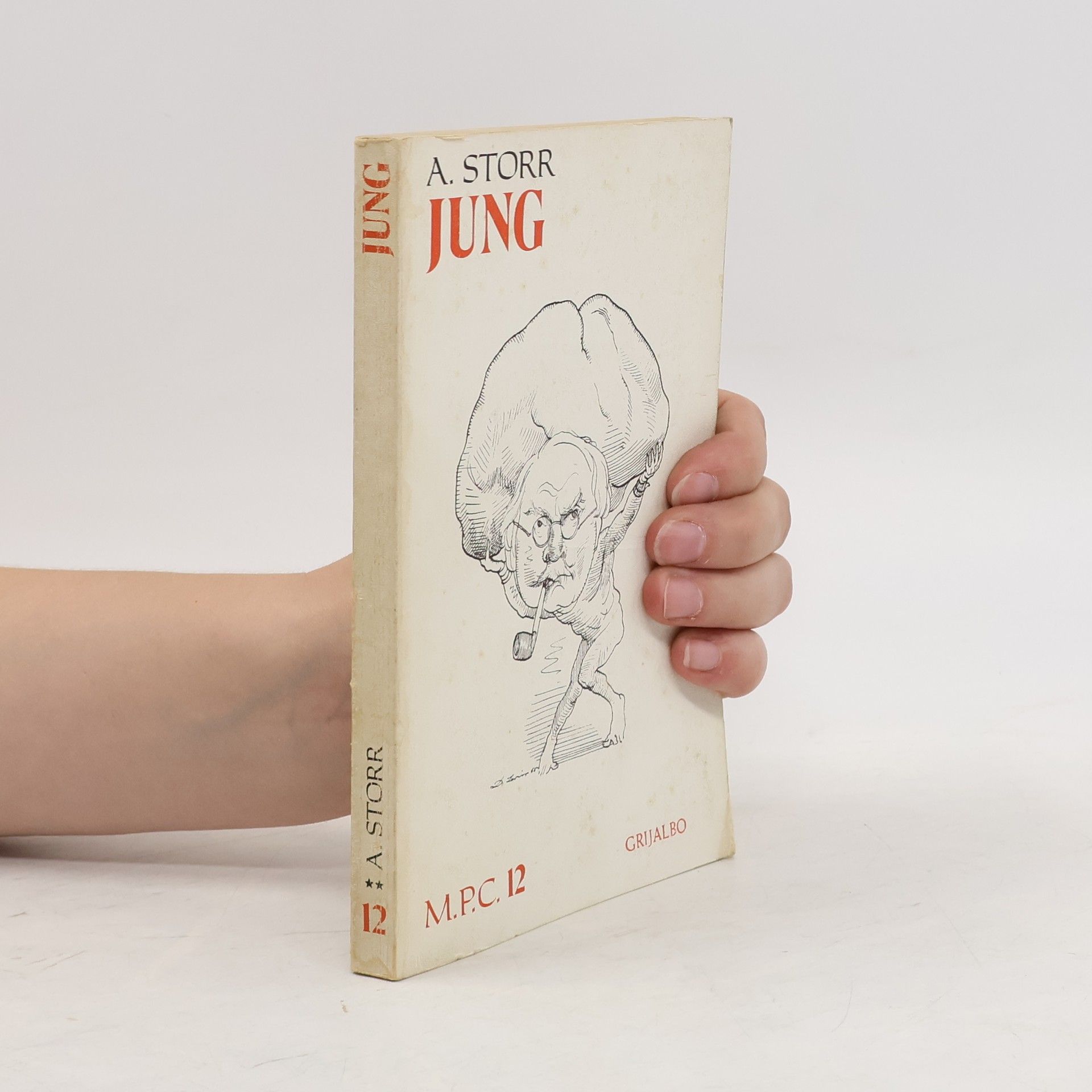 Anthony Storr Jung