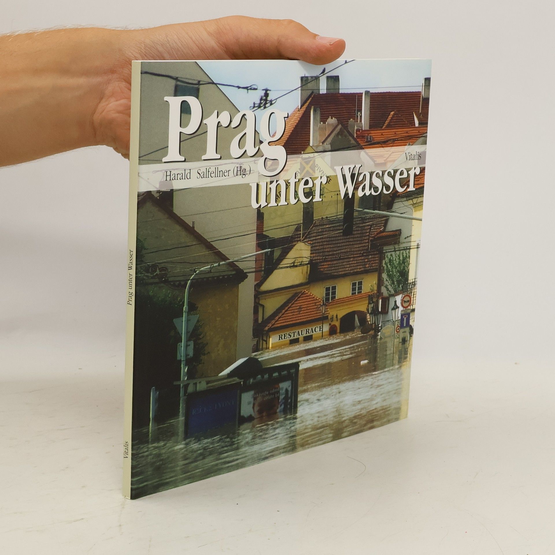 Harald Salfellner Prag unter Wasser