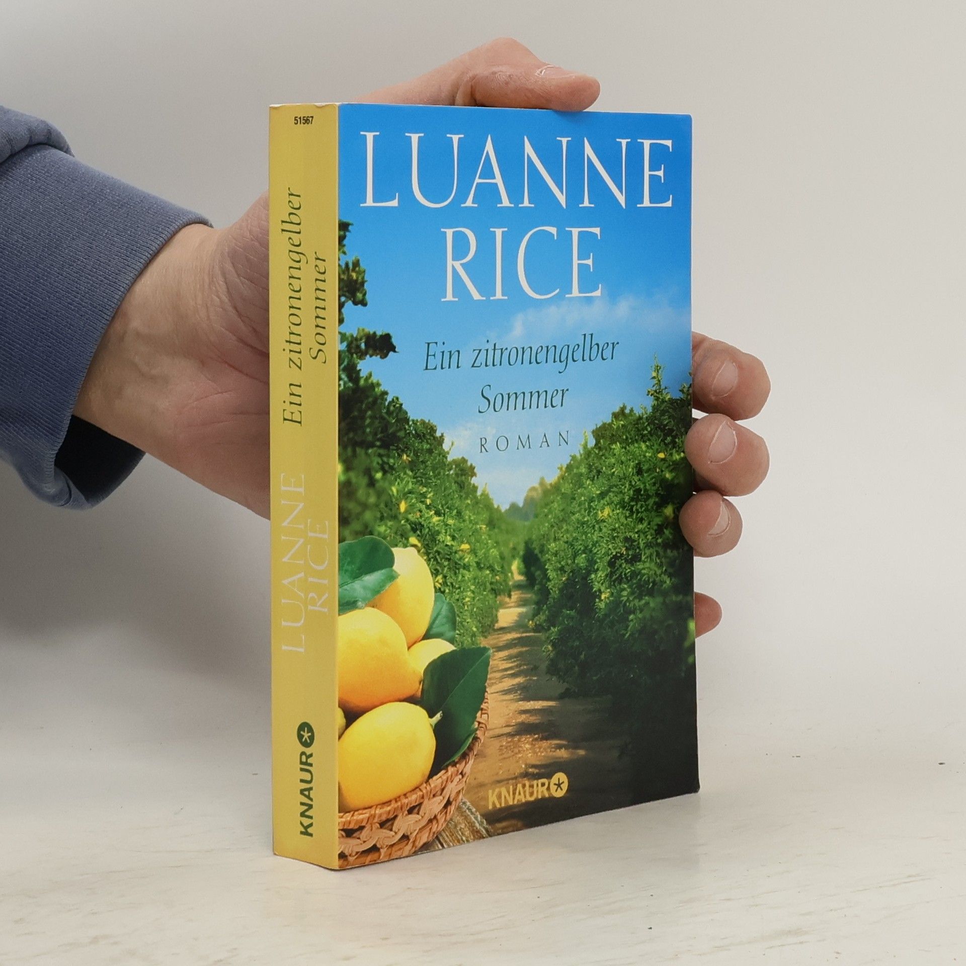 Luanne Rice Ein zitronengelber Sommer