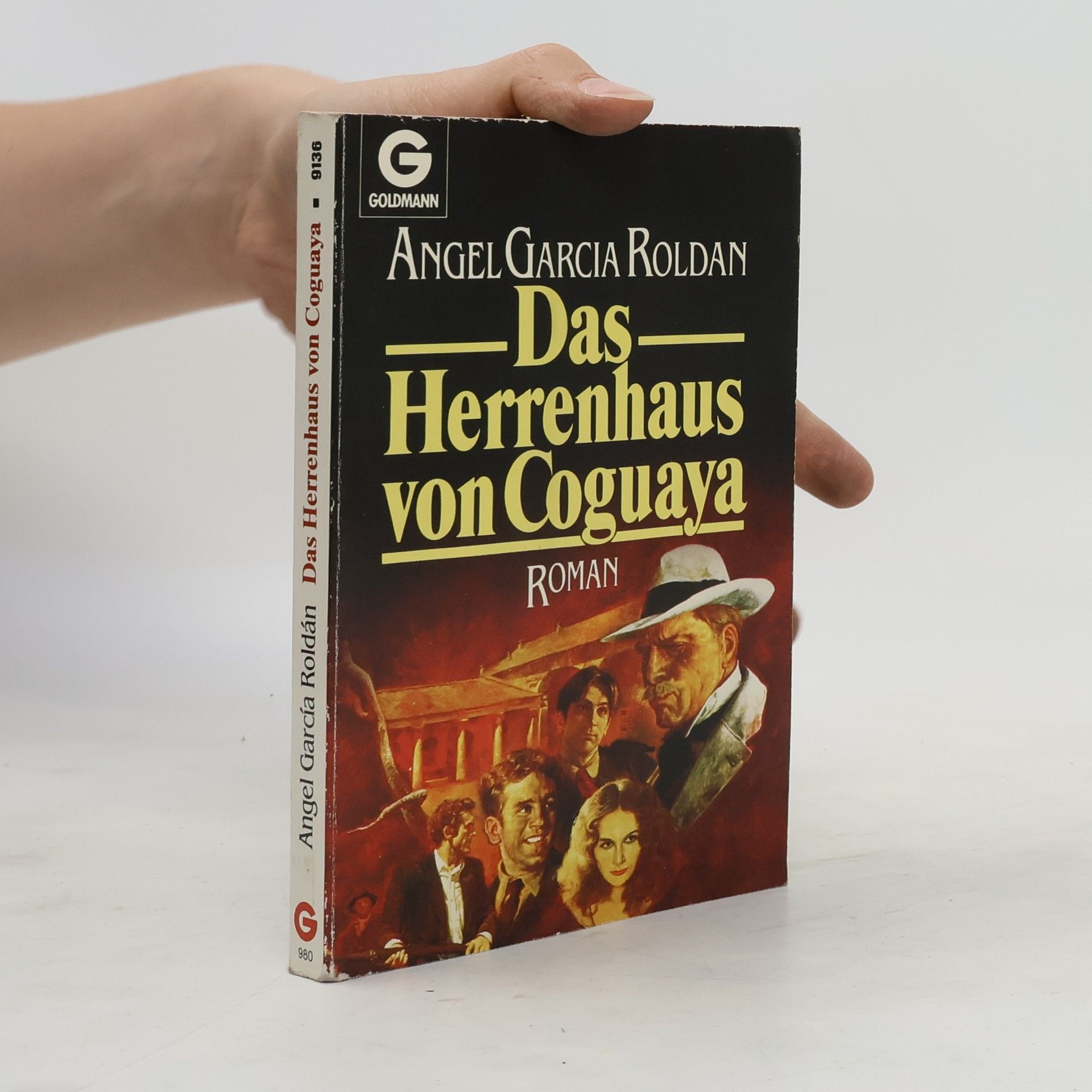 Ángel García Roldán Das Herrenhaus von Coguaya