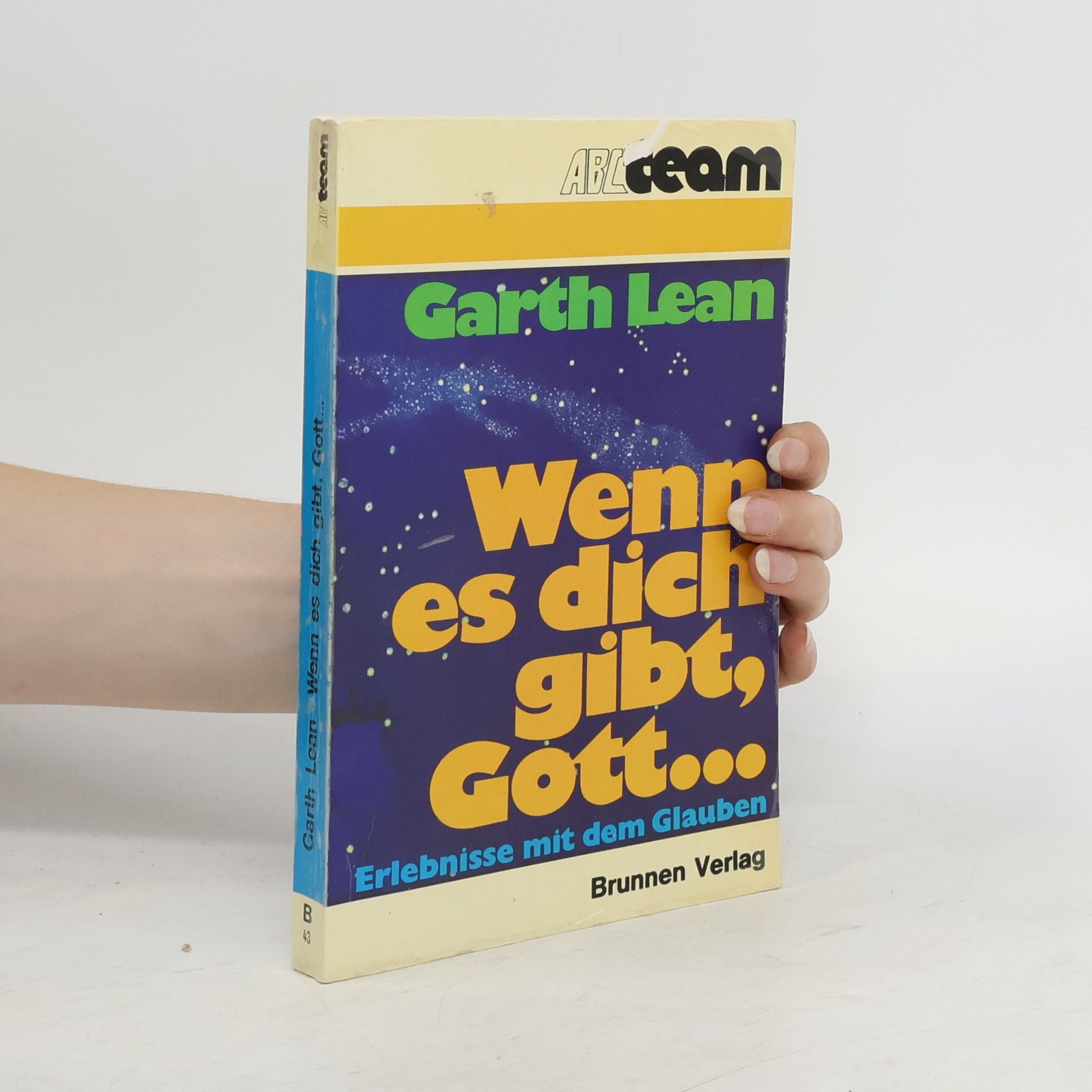 Garth Lean Wenn es dich gibt, Gott