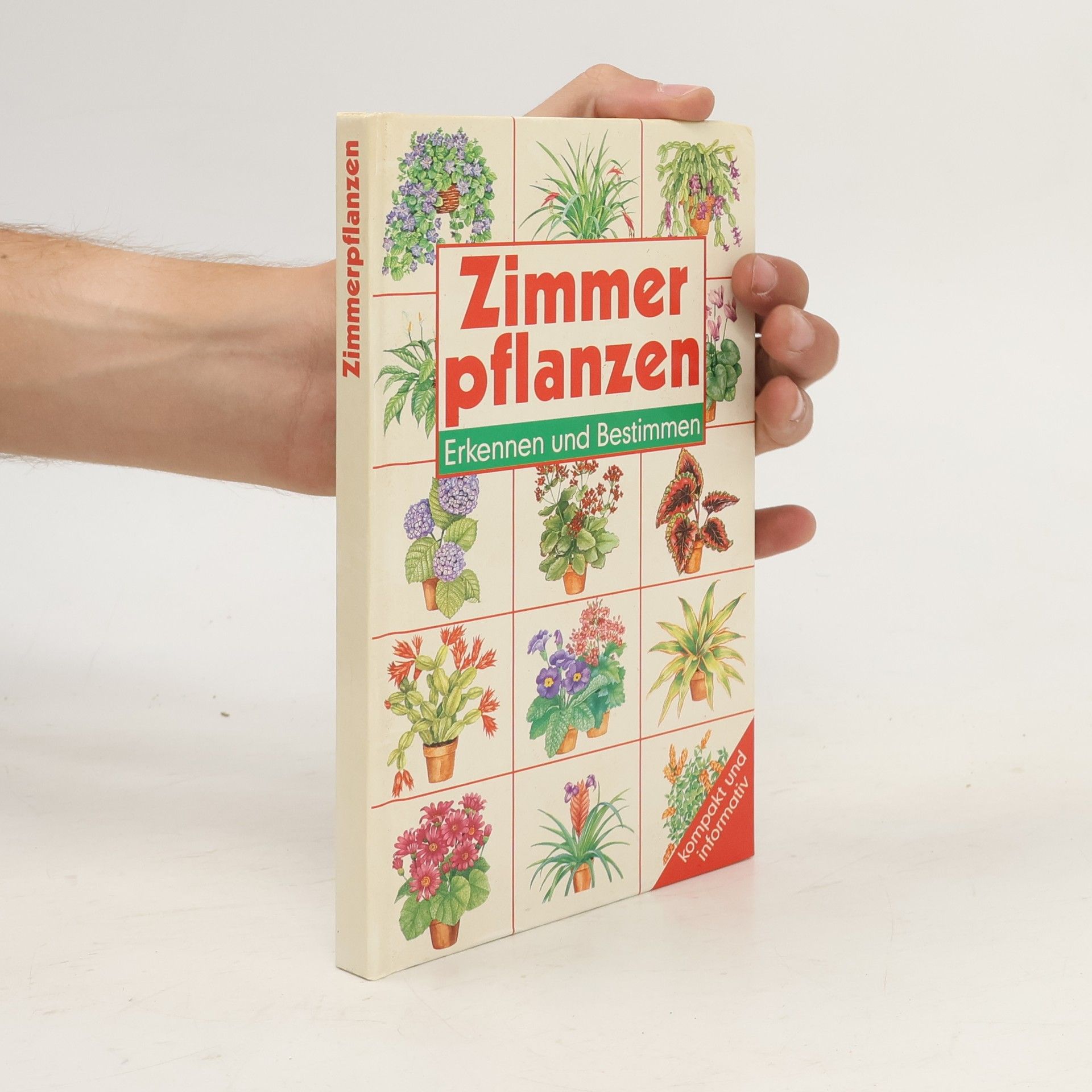 Violet Stevenson Zimmerpflanzen, Erkennen und Bestimmen