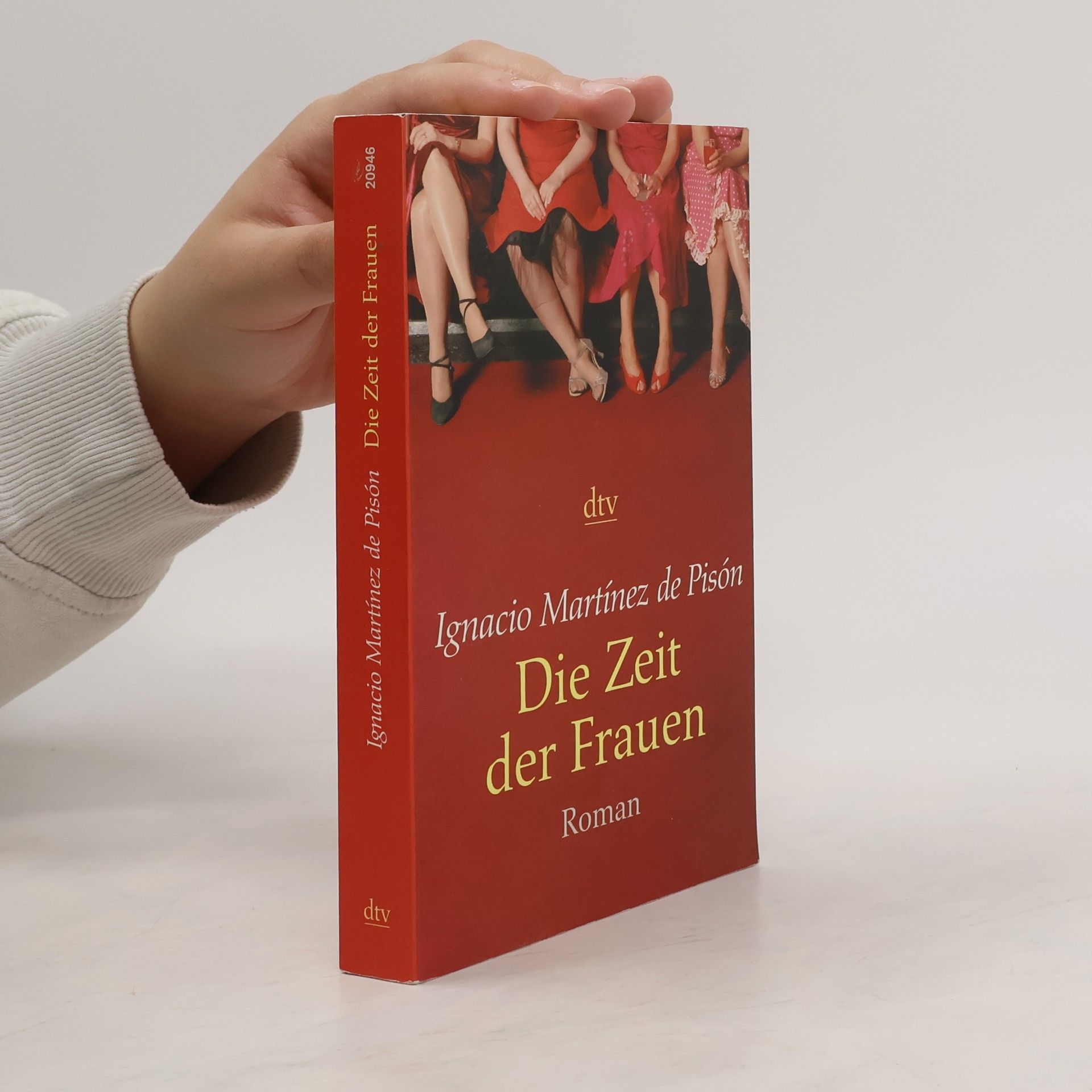 Ignacio Martínez de Pisón Die Zeit der Frauen