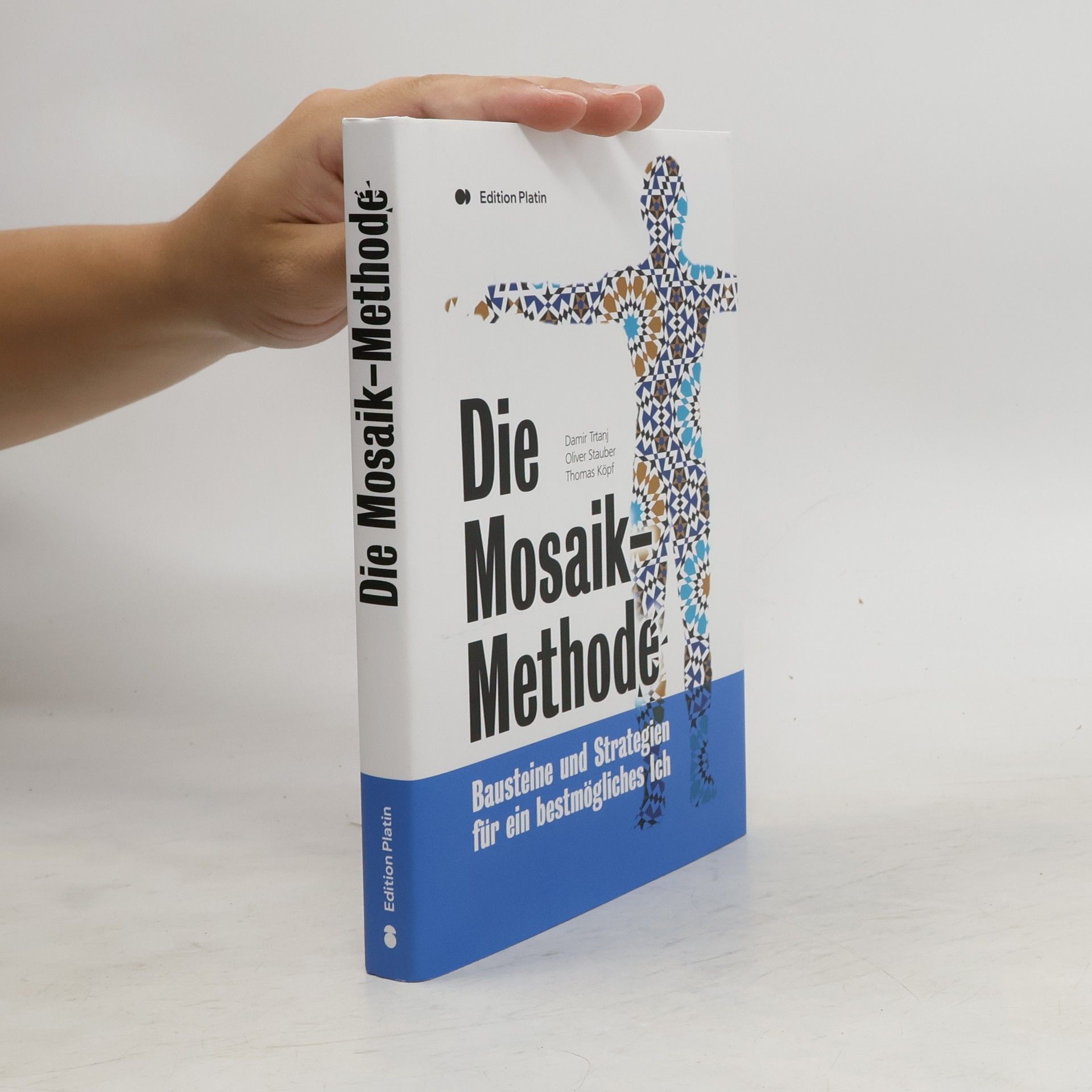 Damir Trtanj Die Mosaik-Methode. Mit der Toolbox die eigene Lebenswelt ordnen