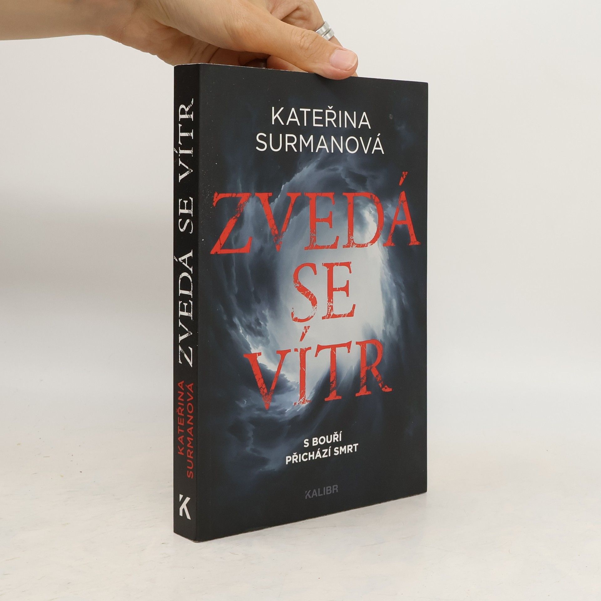 Kateřina Surmanová Zvedá se vítr