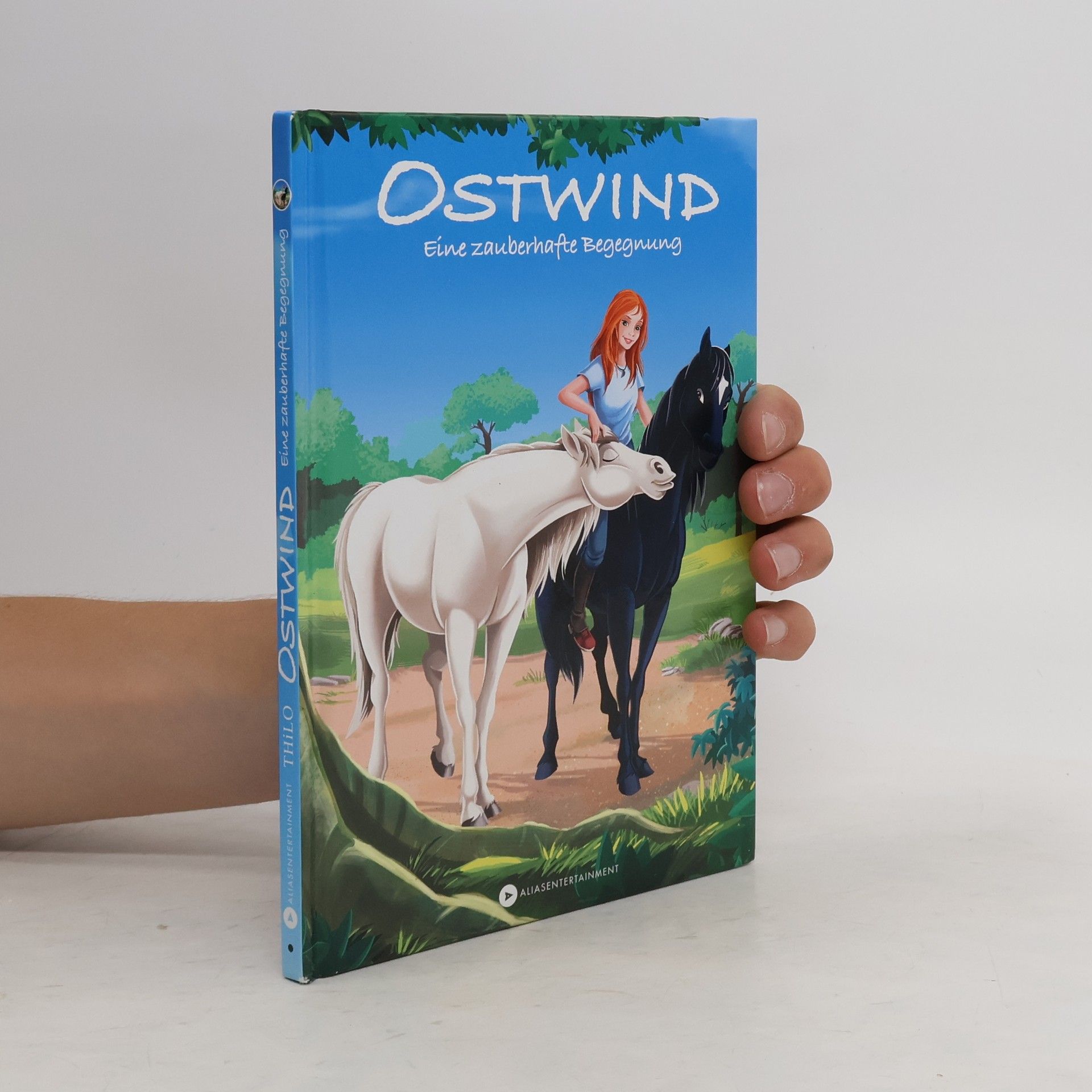 Autorenkollektiv Ostwind. Eine zauberhafte Begegnung