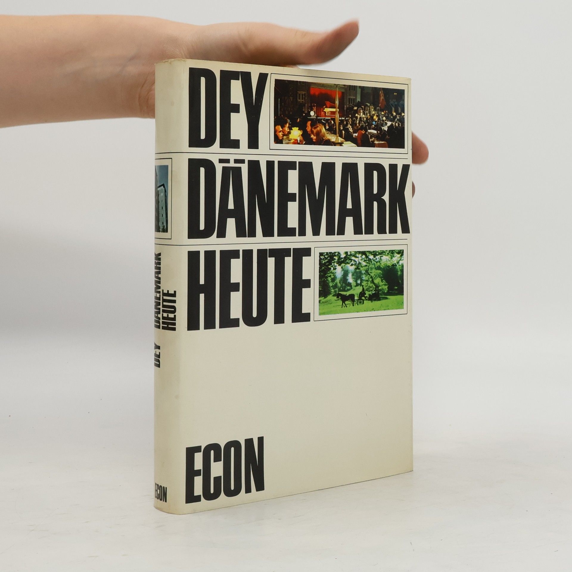 Reinhold Dey Dänemark Heute
