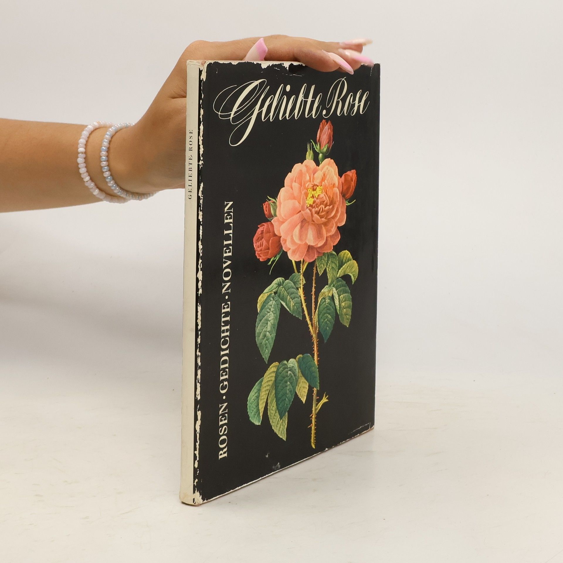 Friedrich Schnack Geliebte Rose