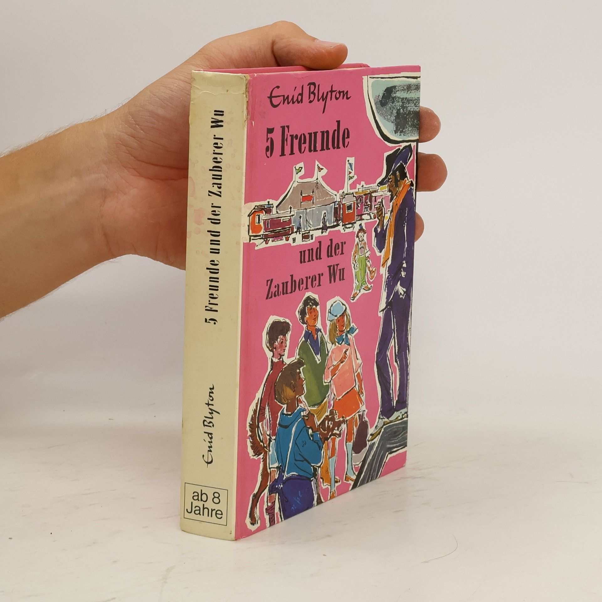 Enid Blyton 5 Freunde und der Zauberer Wu