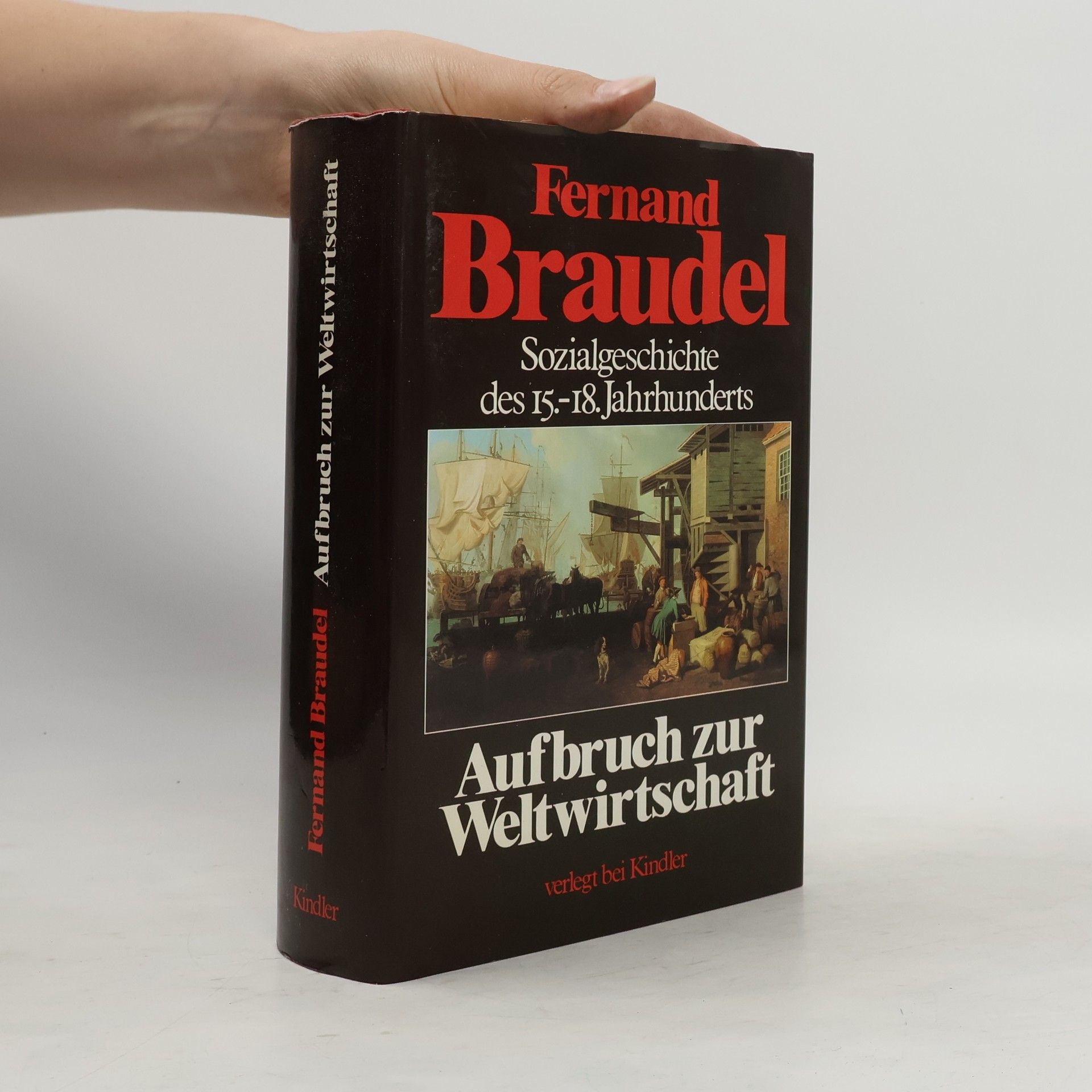 Fernand Braudel Sozialgeschichte des 15.-18. Jahrhunderts: Aufbruch zur Weltwirstchaft