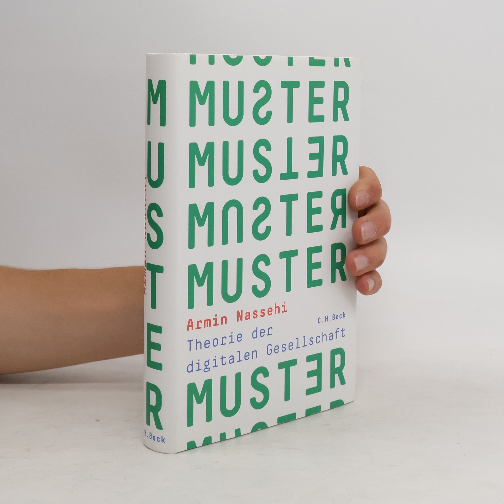 Armin Nassehi Muster