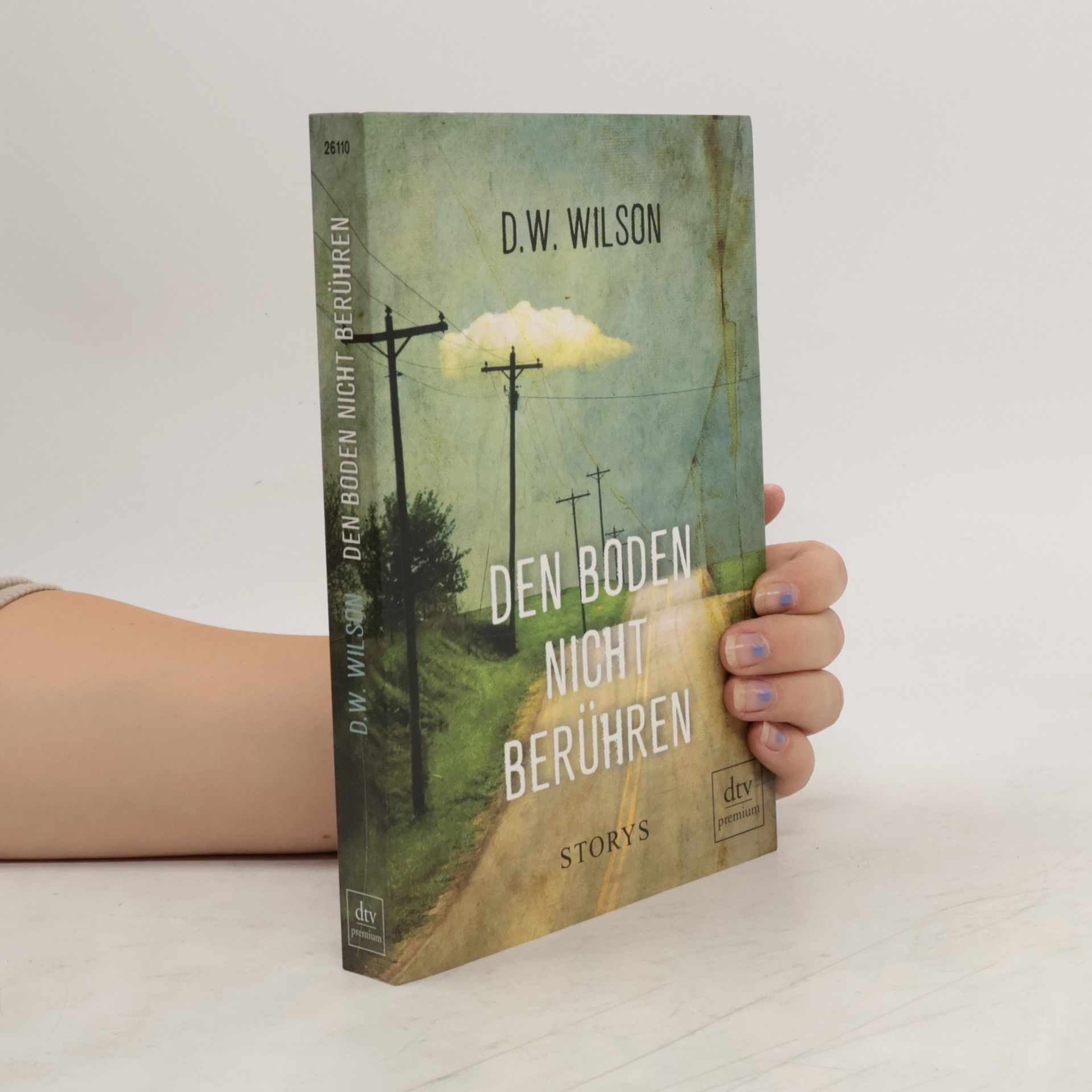 D. W. Wilson Den Boden nicht berühren