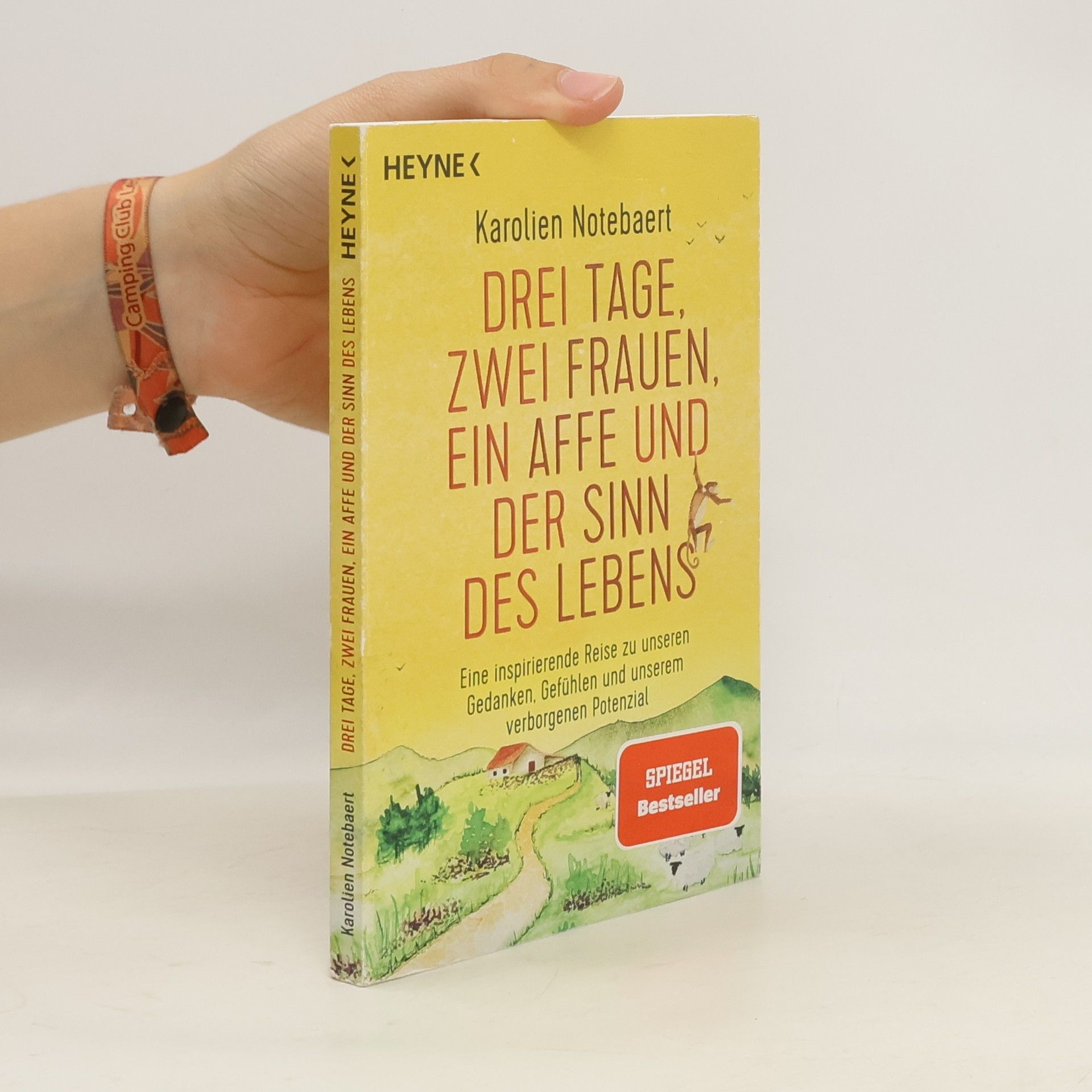 Karolien Notebaert Drei Tage, zwei Frauen, ein Affe und der Sinn des Lebens