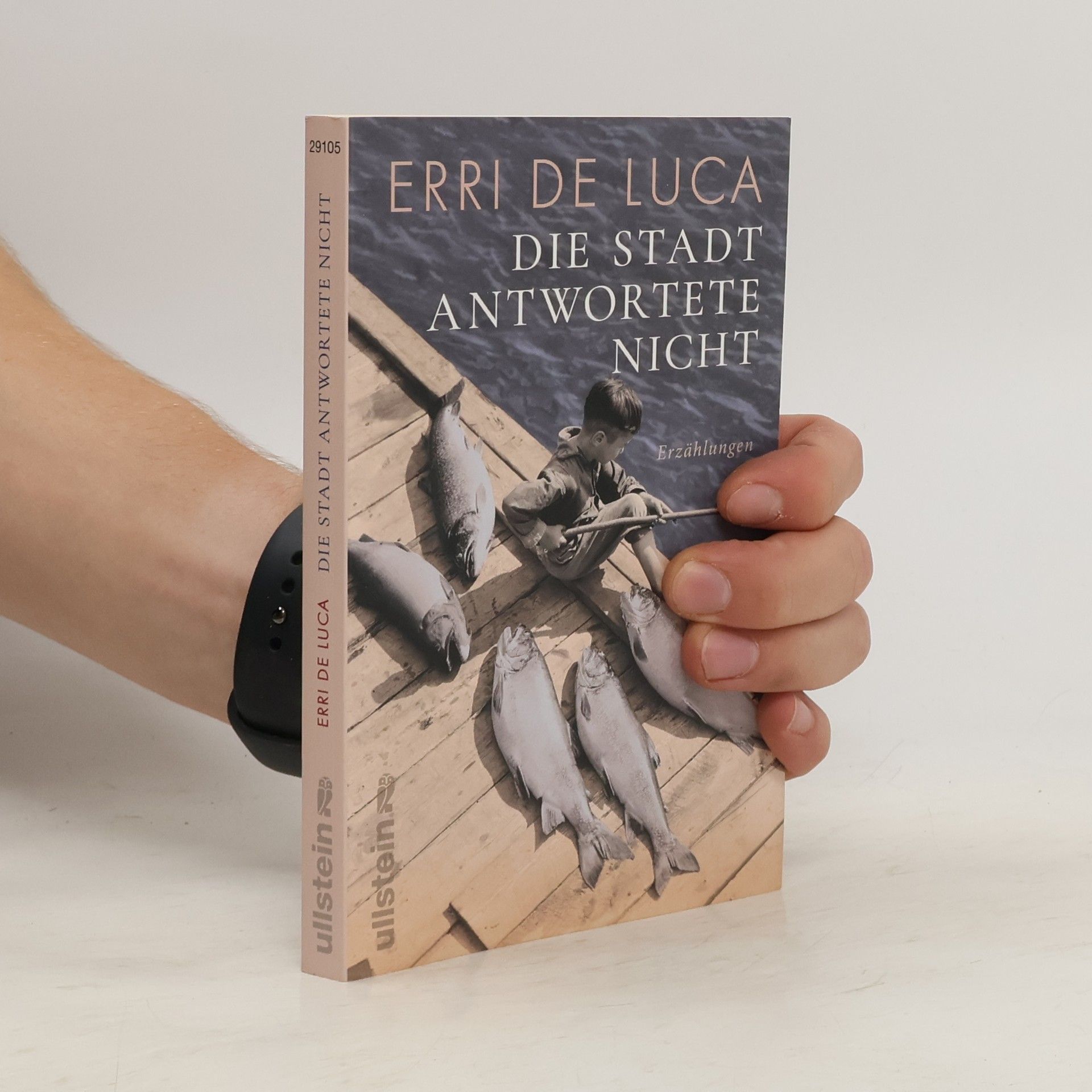 Erri De Luca Die Stadt antwortete nicht
