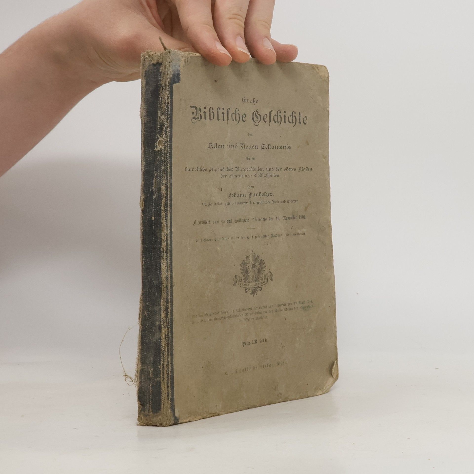 Johann Panholzer Große Biblische Geschichte