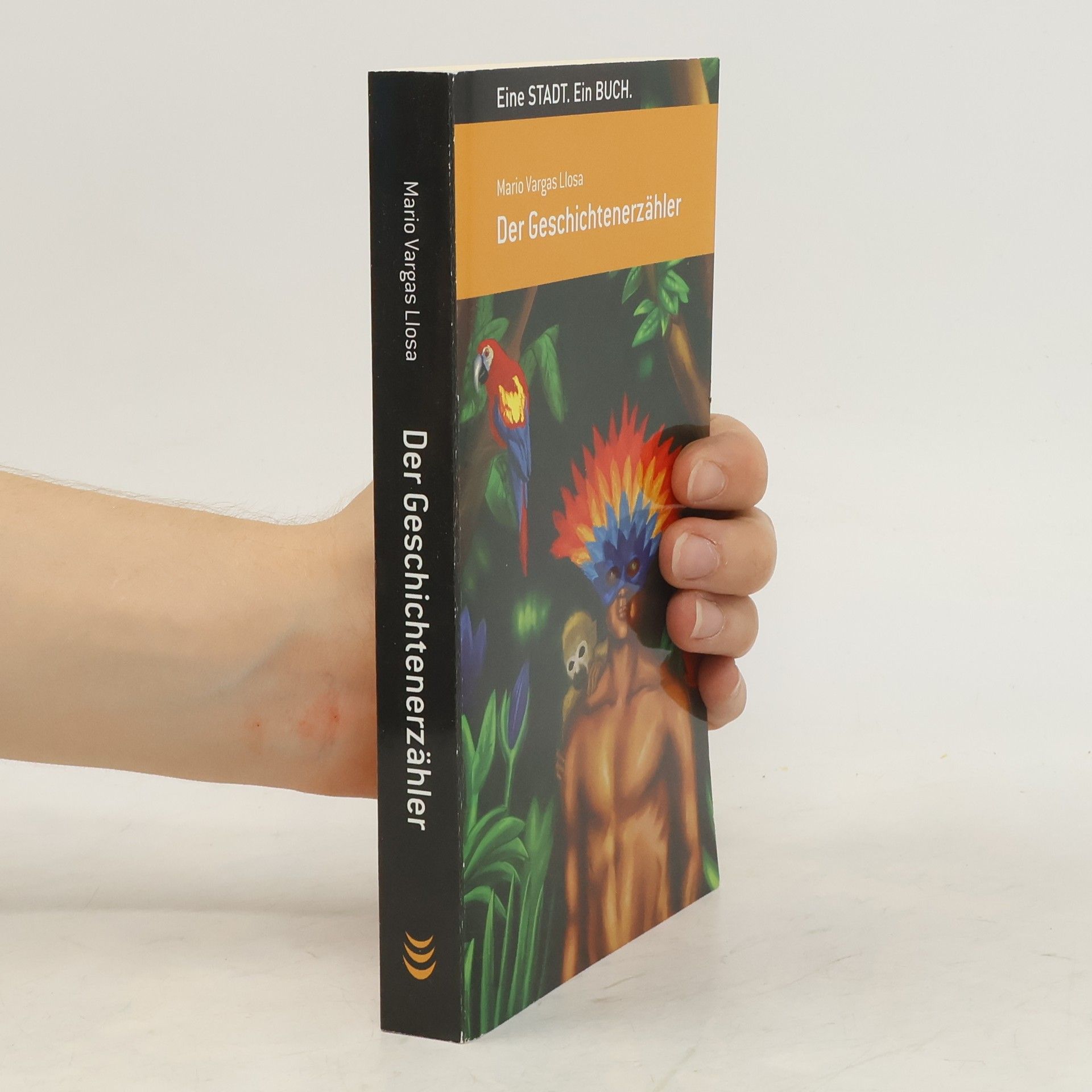 Mario Vargas Llosa Der Geschichtenerzähler